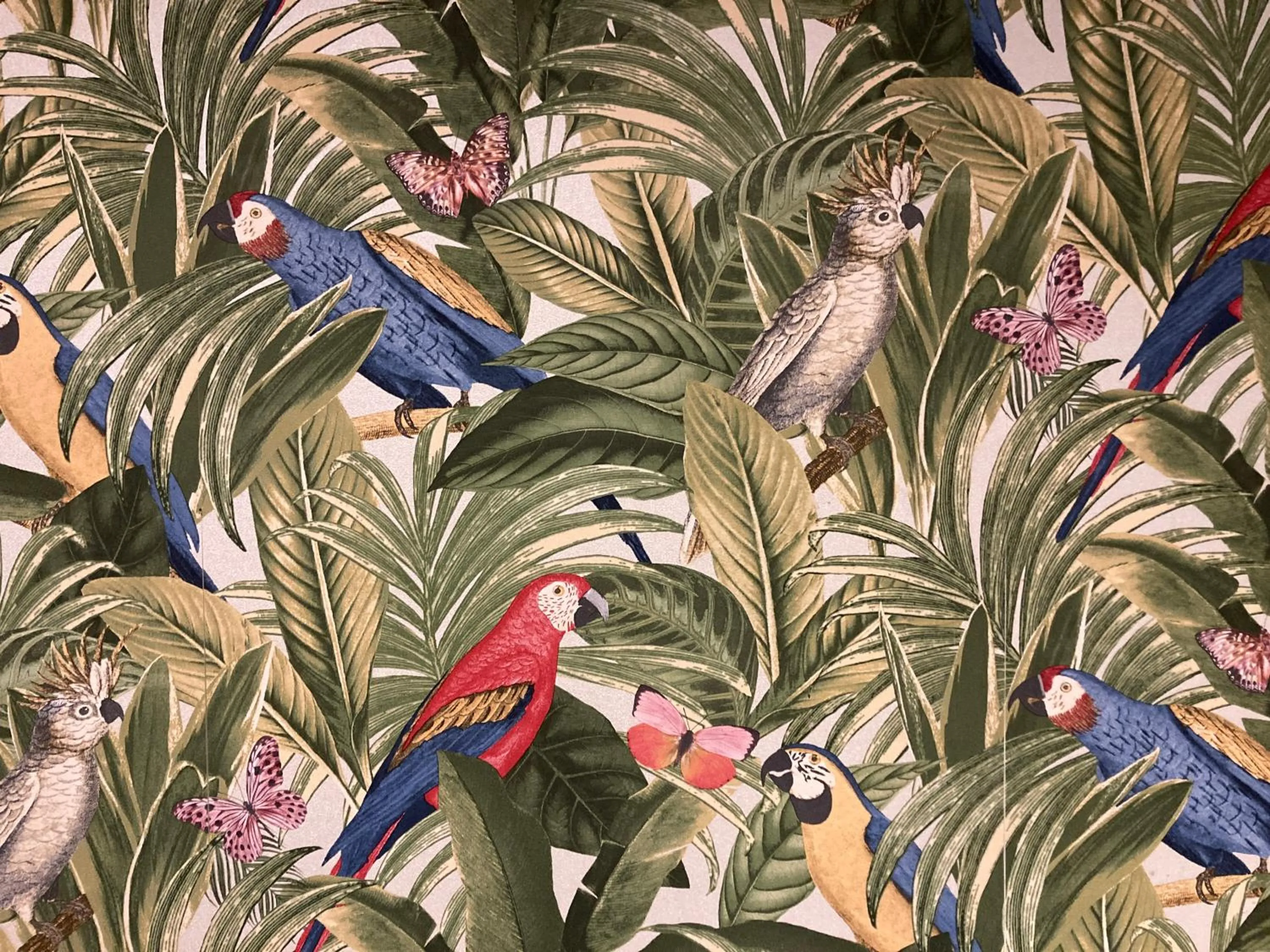 Natural landscape in Koala Hostel