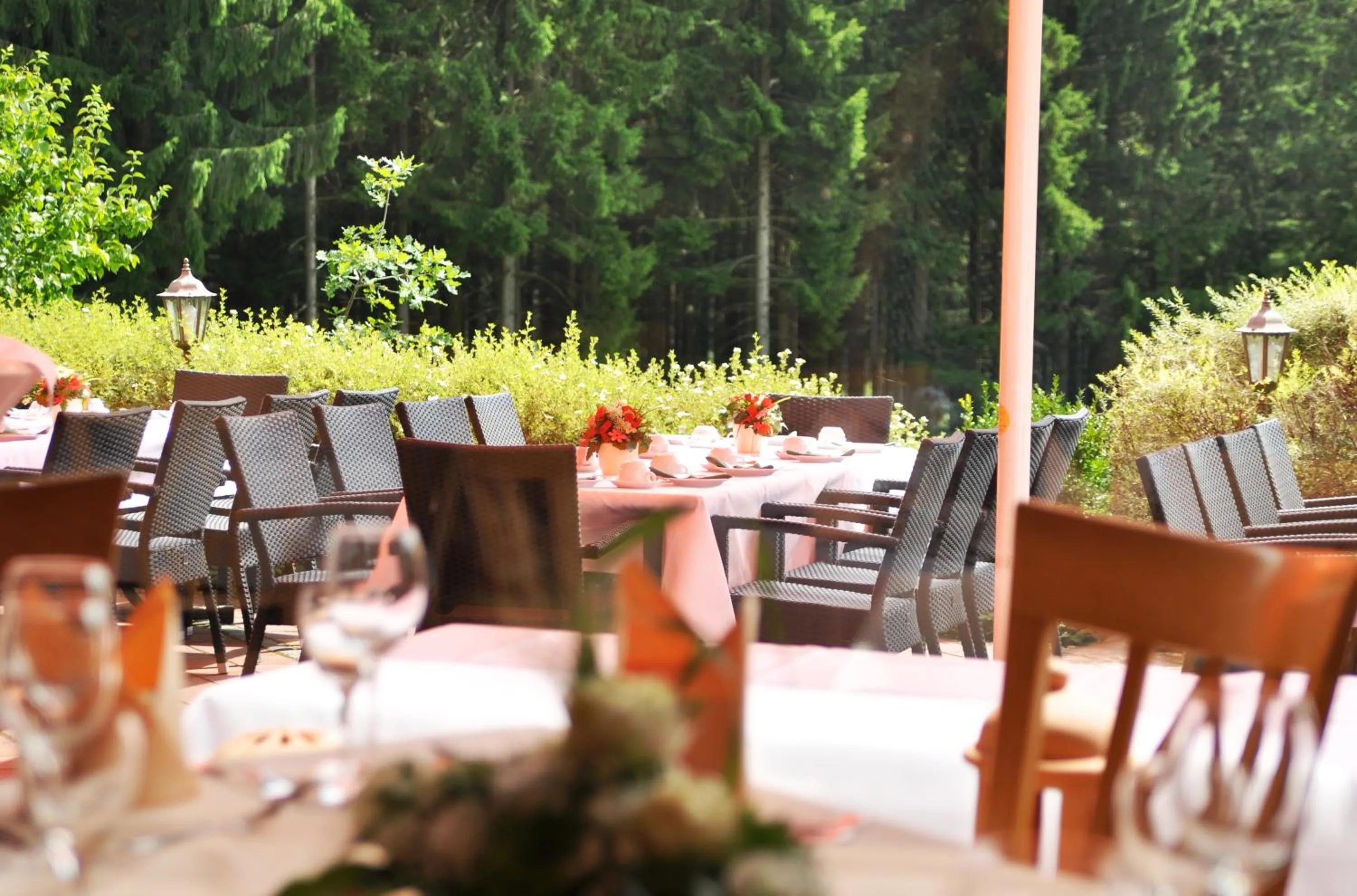 Restaurant/places to eat in Hotel Landhaus Berghof