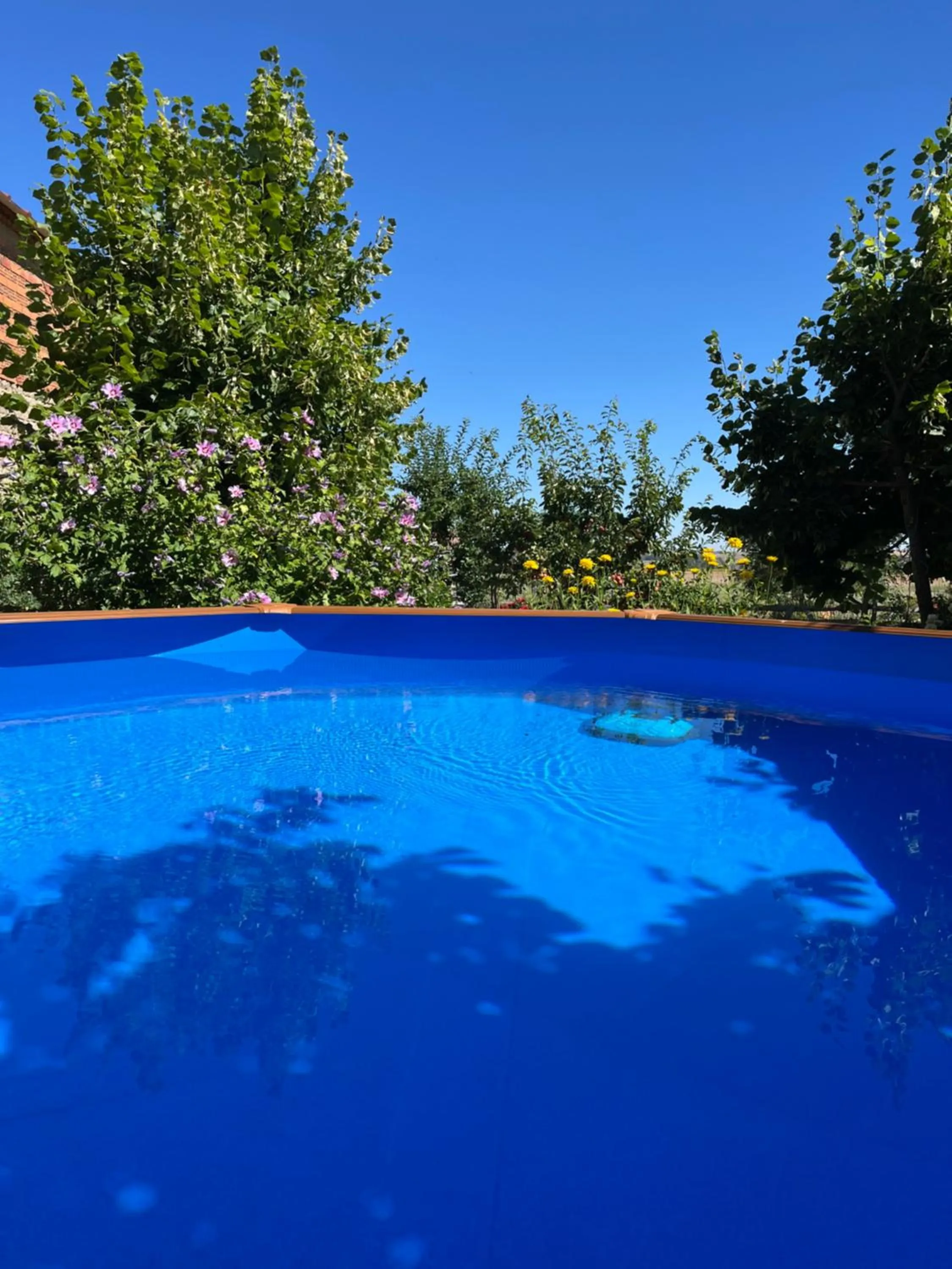 Posada Real del Buen Camino, alojamiento rural