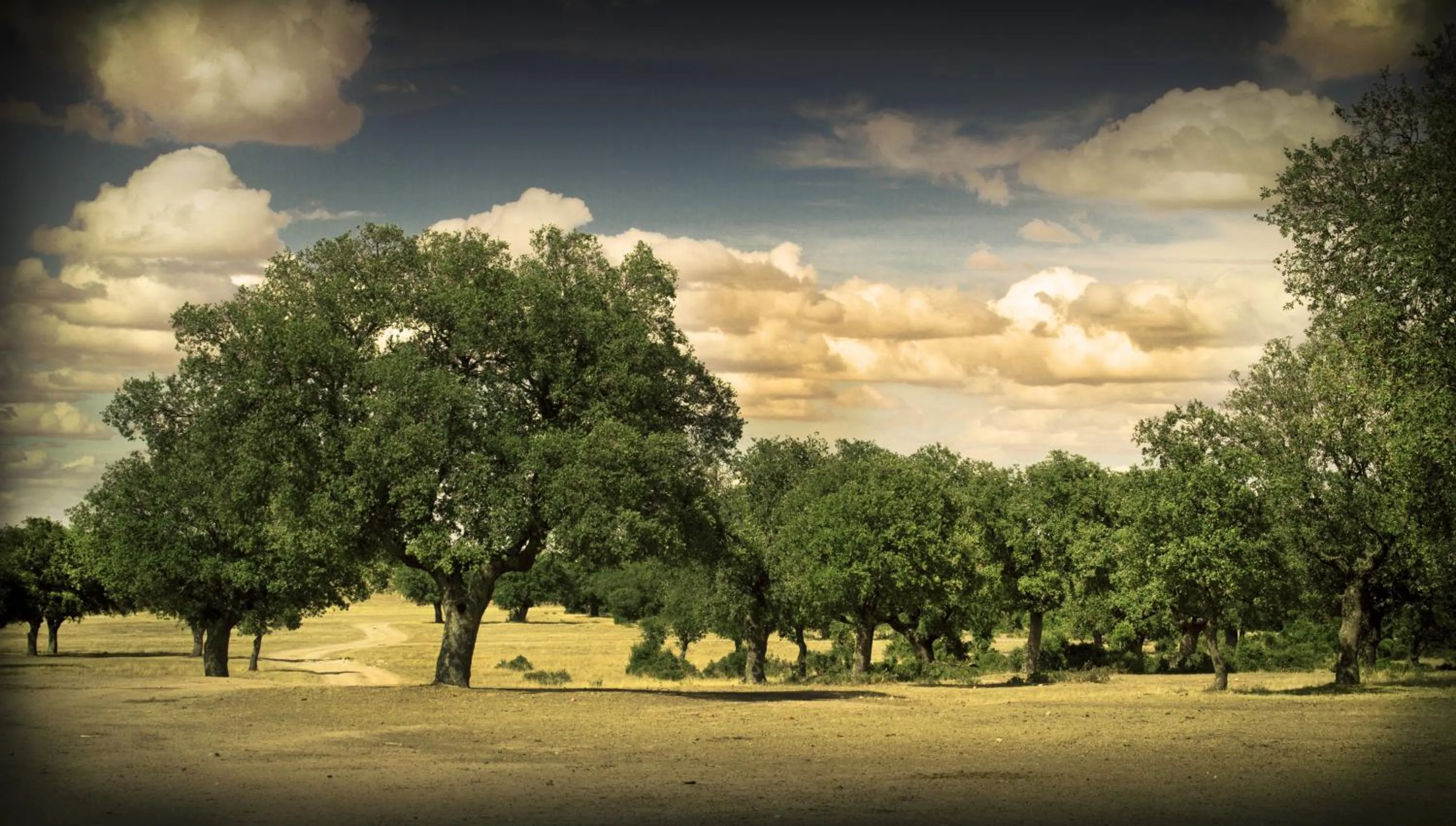Mountain view in Posada Real del Buen Camino, alojamiento rural