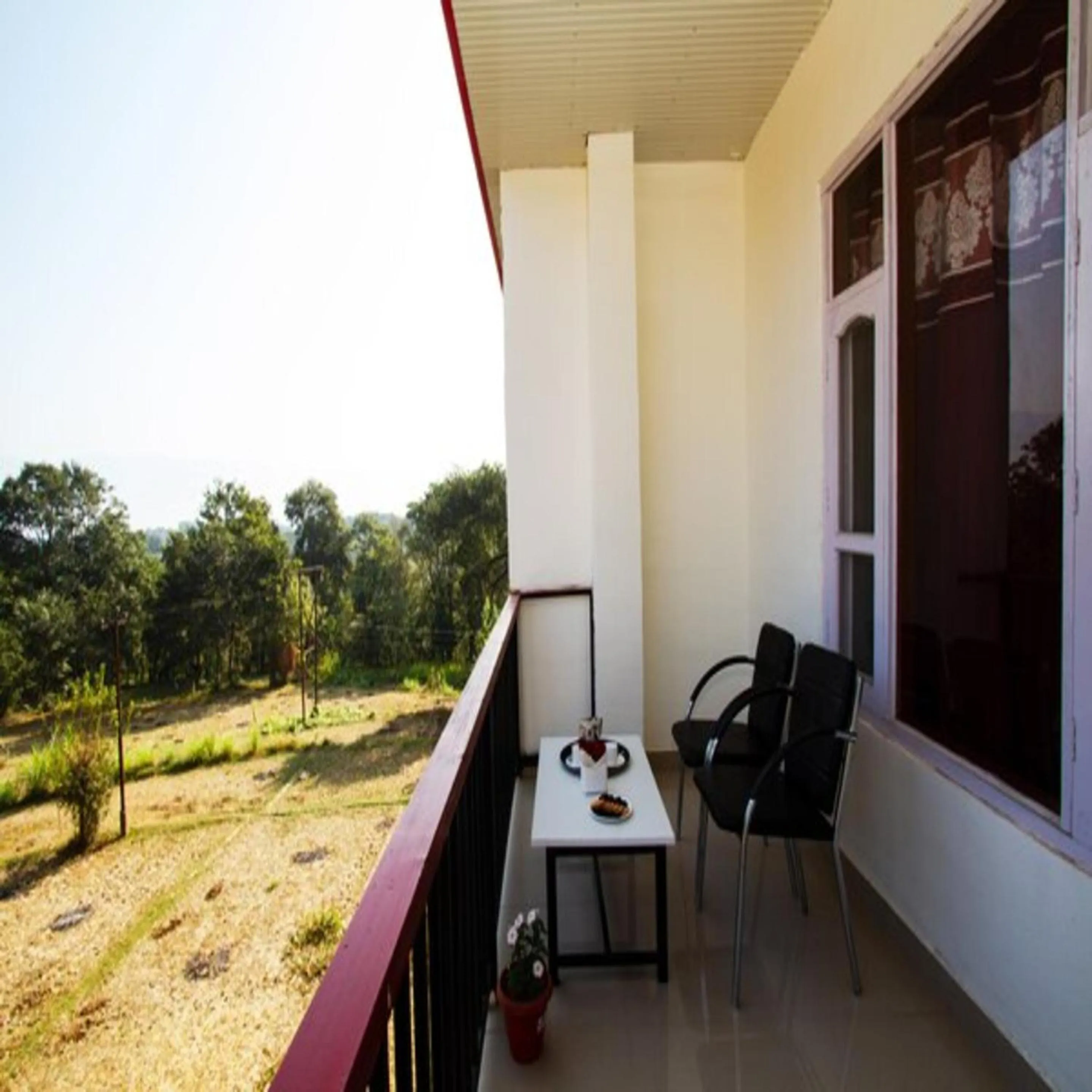 Balcony/Terrace in Hotel Roop