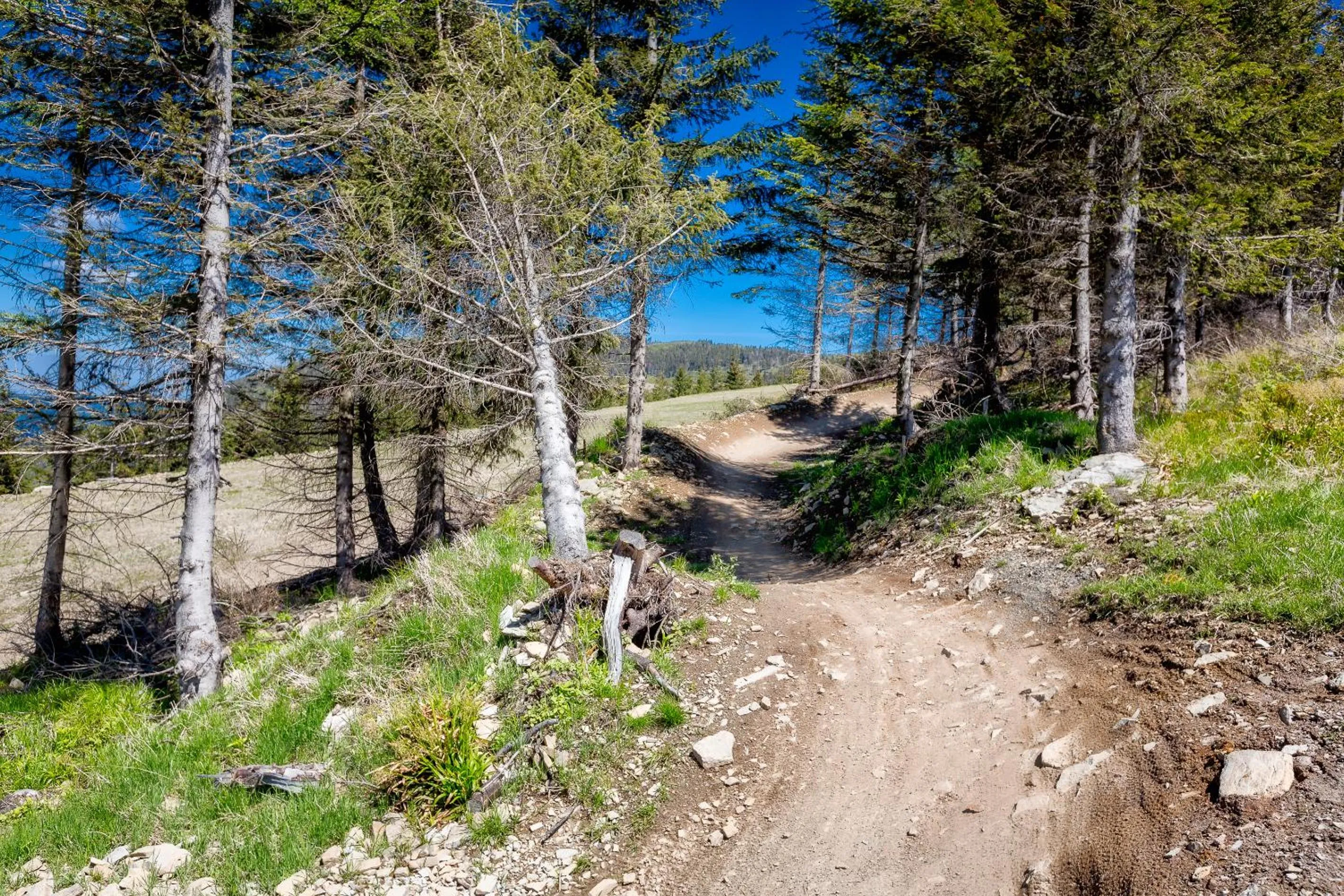 Cycling in Mercure Szczyrk Resort