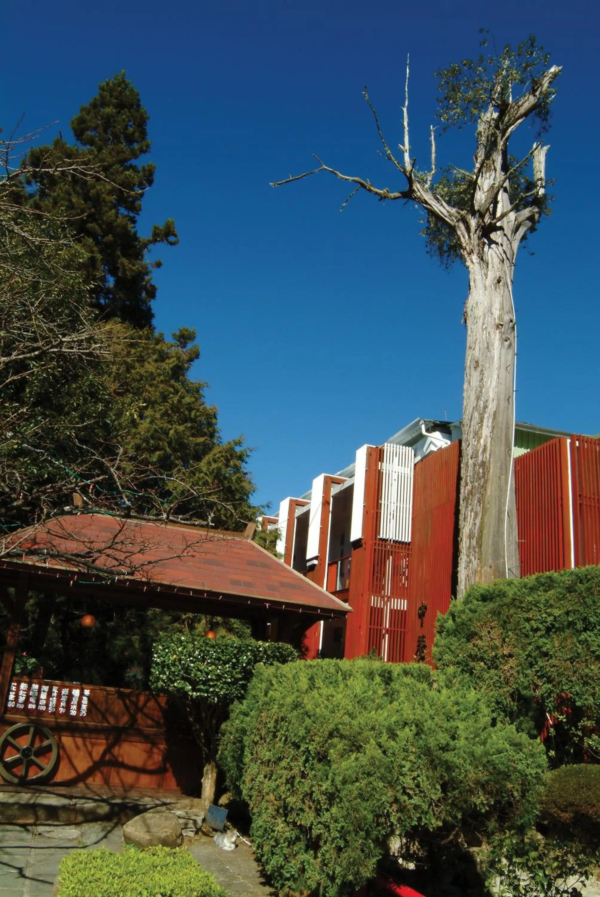 Area and facilities in Alishan Hotel