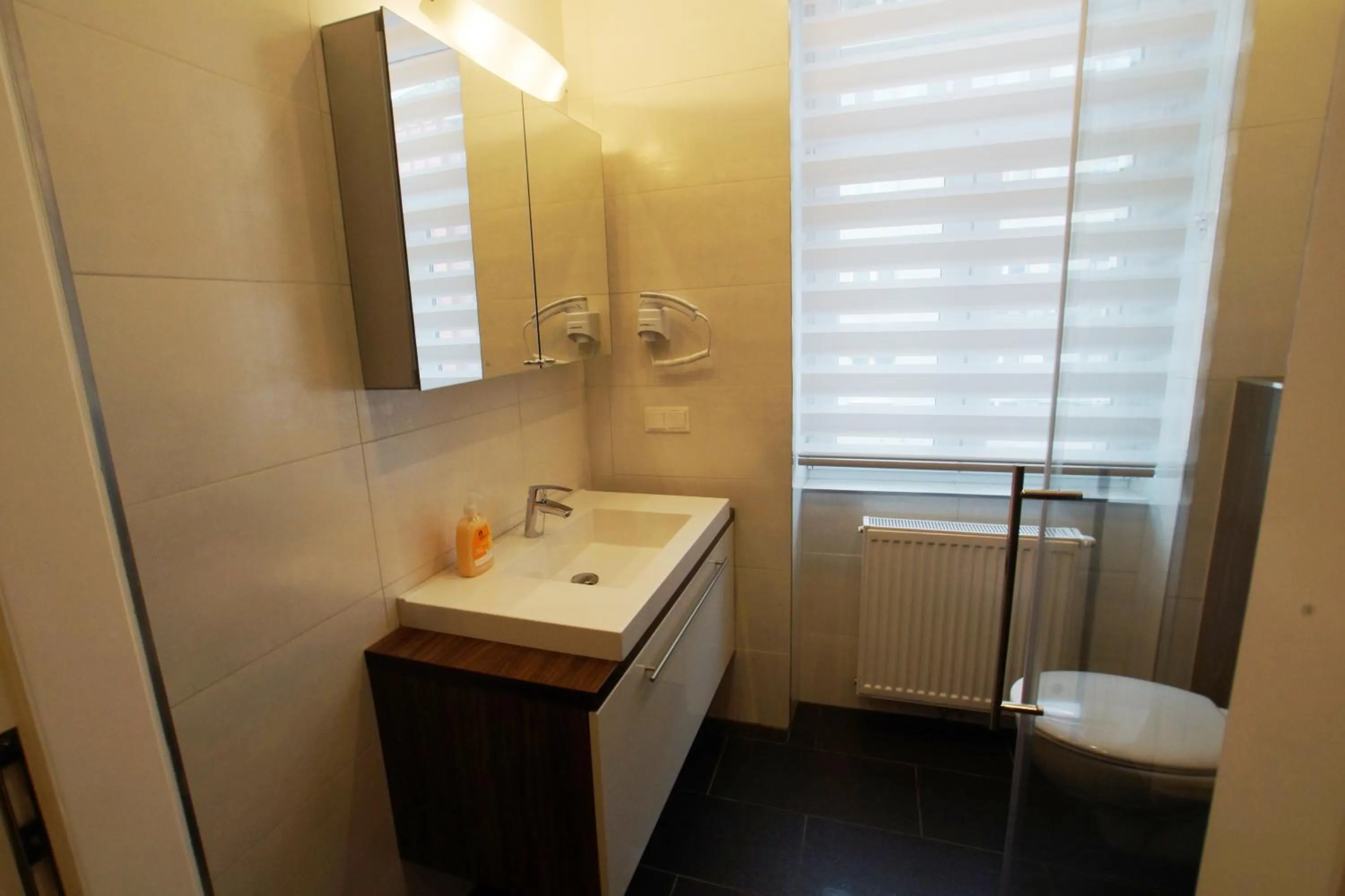 Bathroom in Apartments-in-vienna