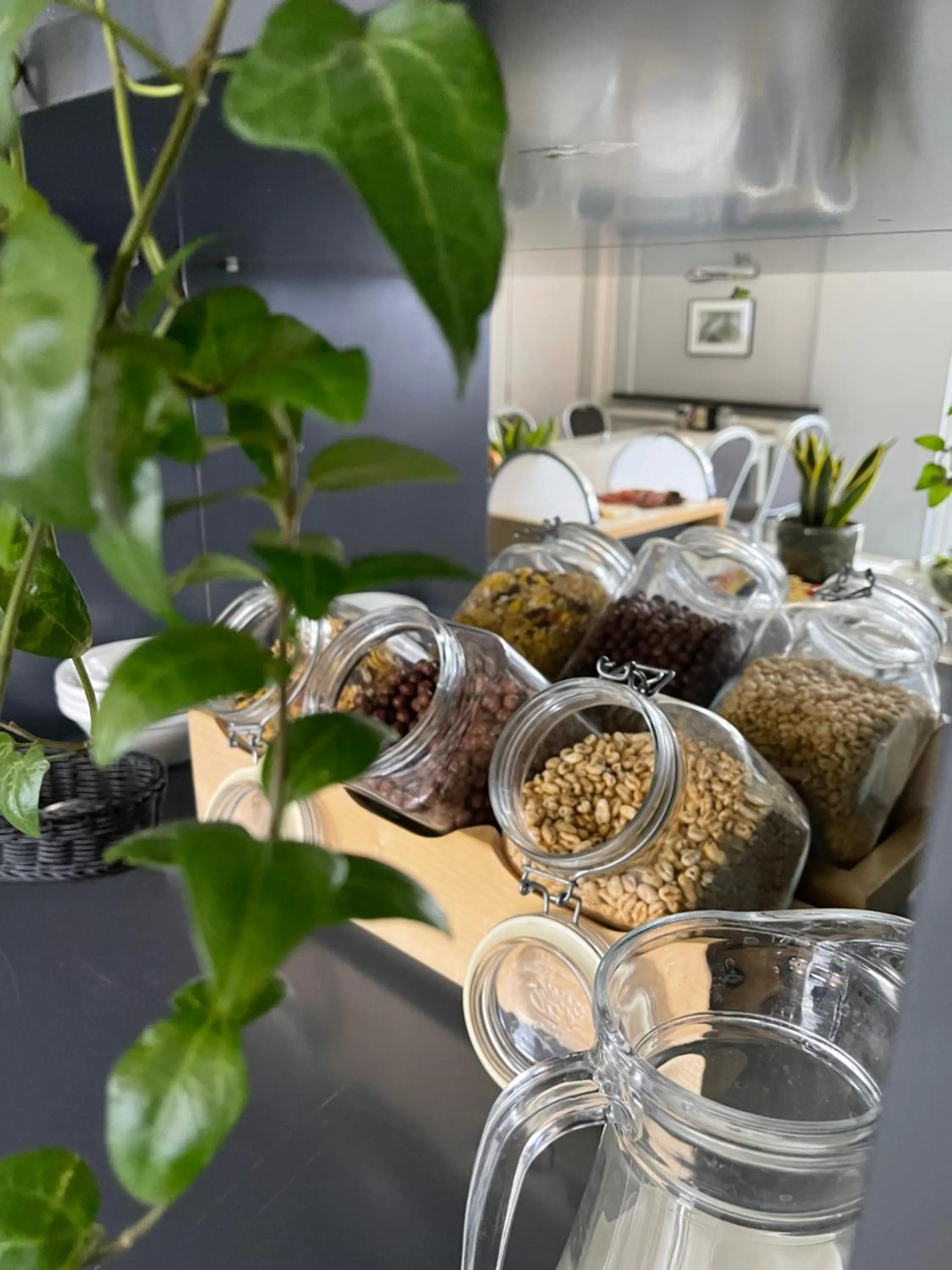 Food in Hotel Garden