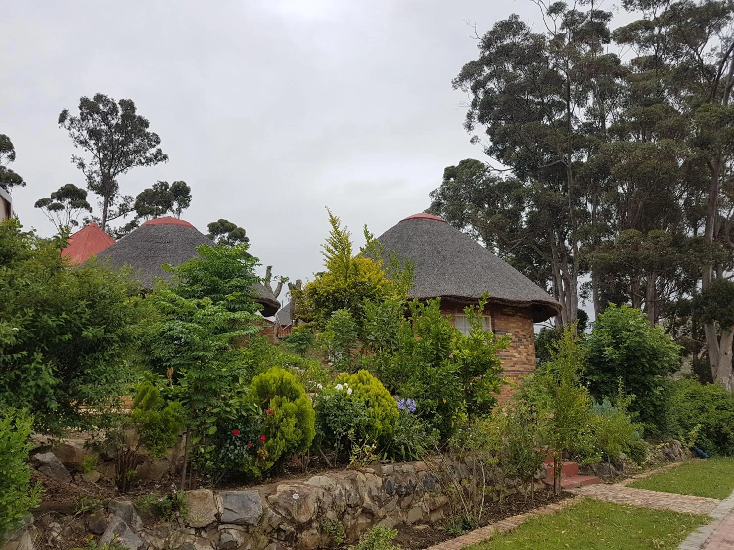 Garden in Stone Crescent Hotel