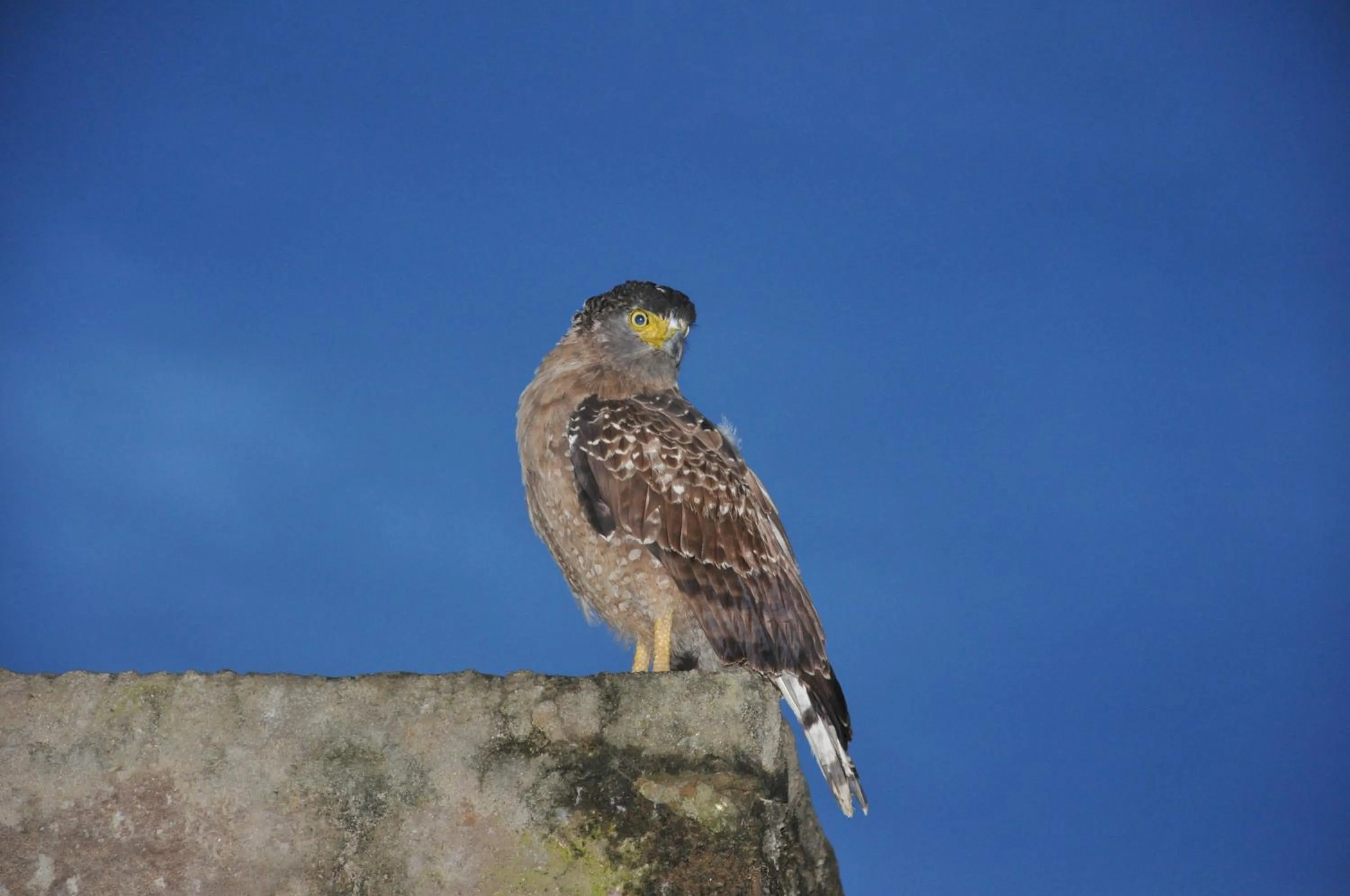 Hiking in Tissa Resort