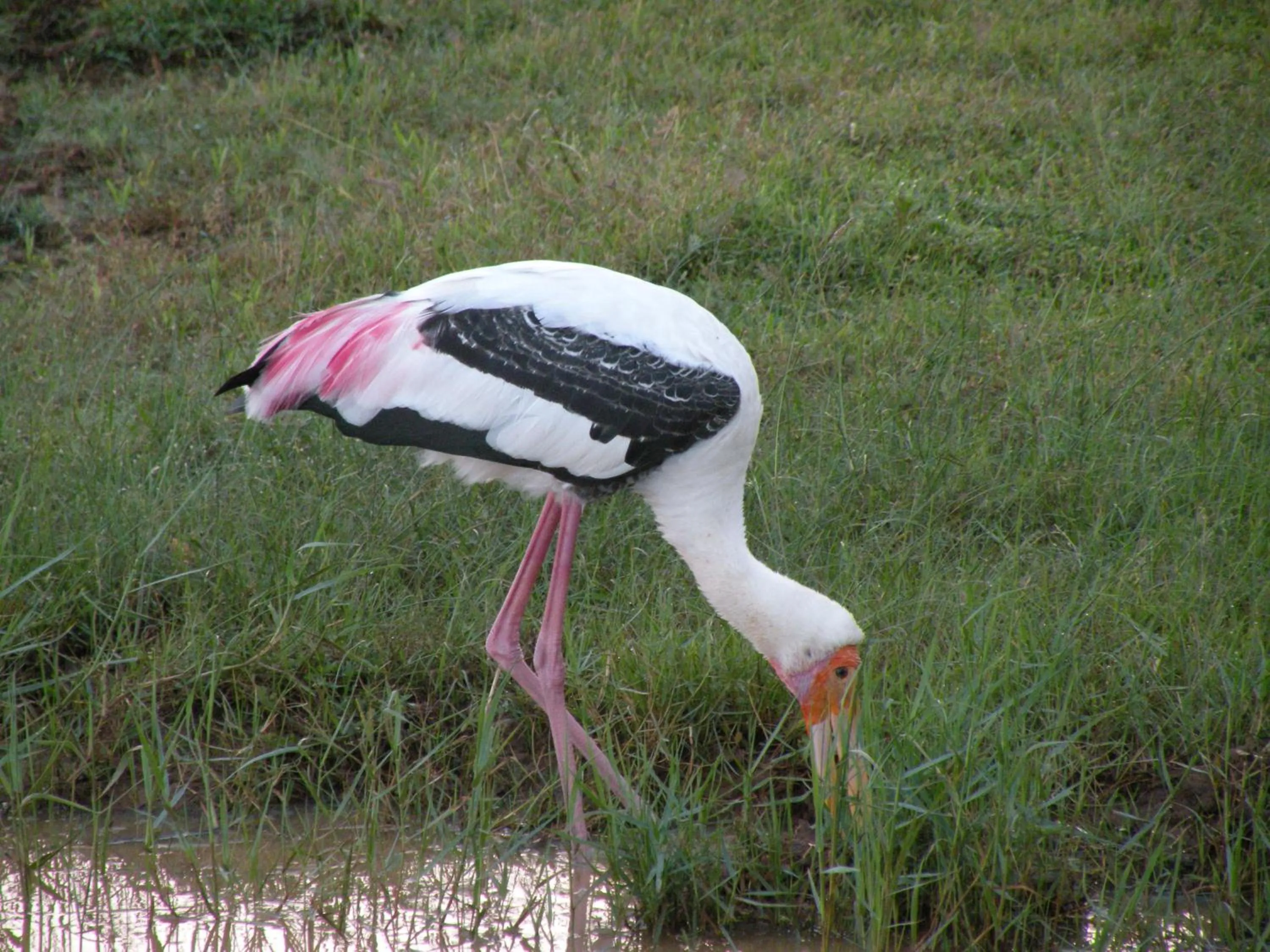 Hiking in Tissa Resort