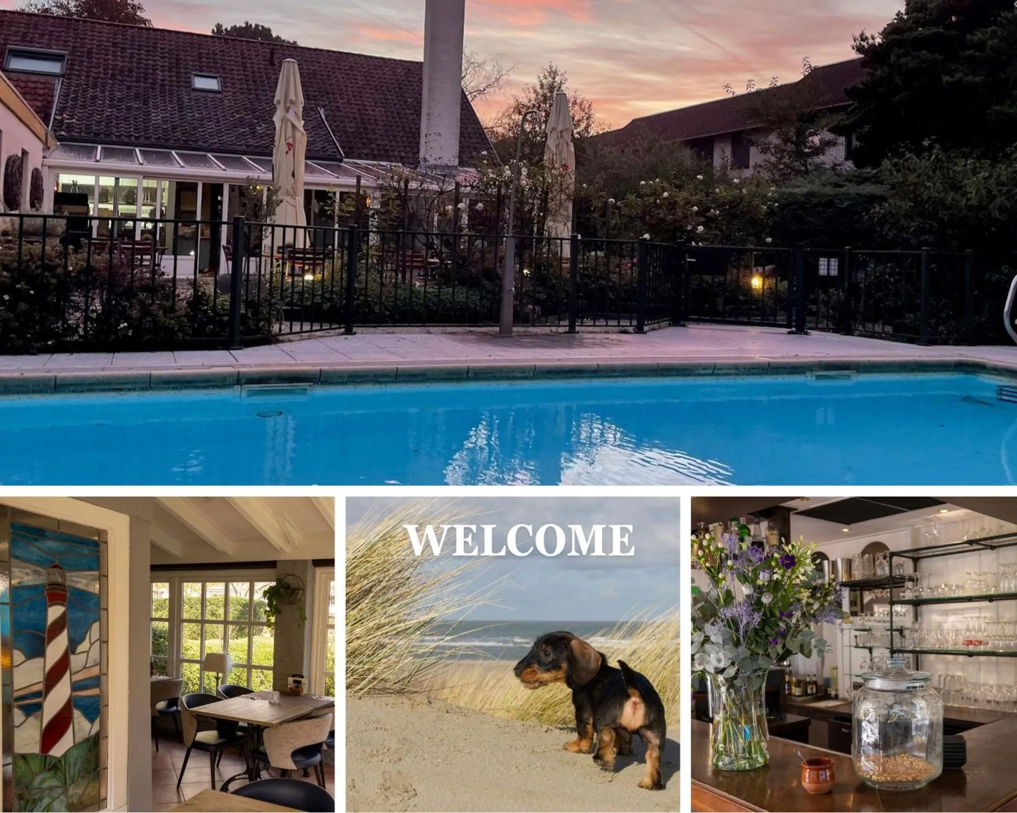 Swimming pool in Hotel De Torenhoeve