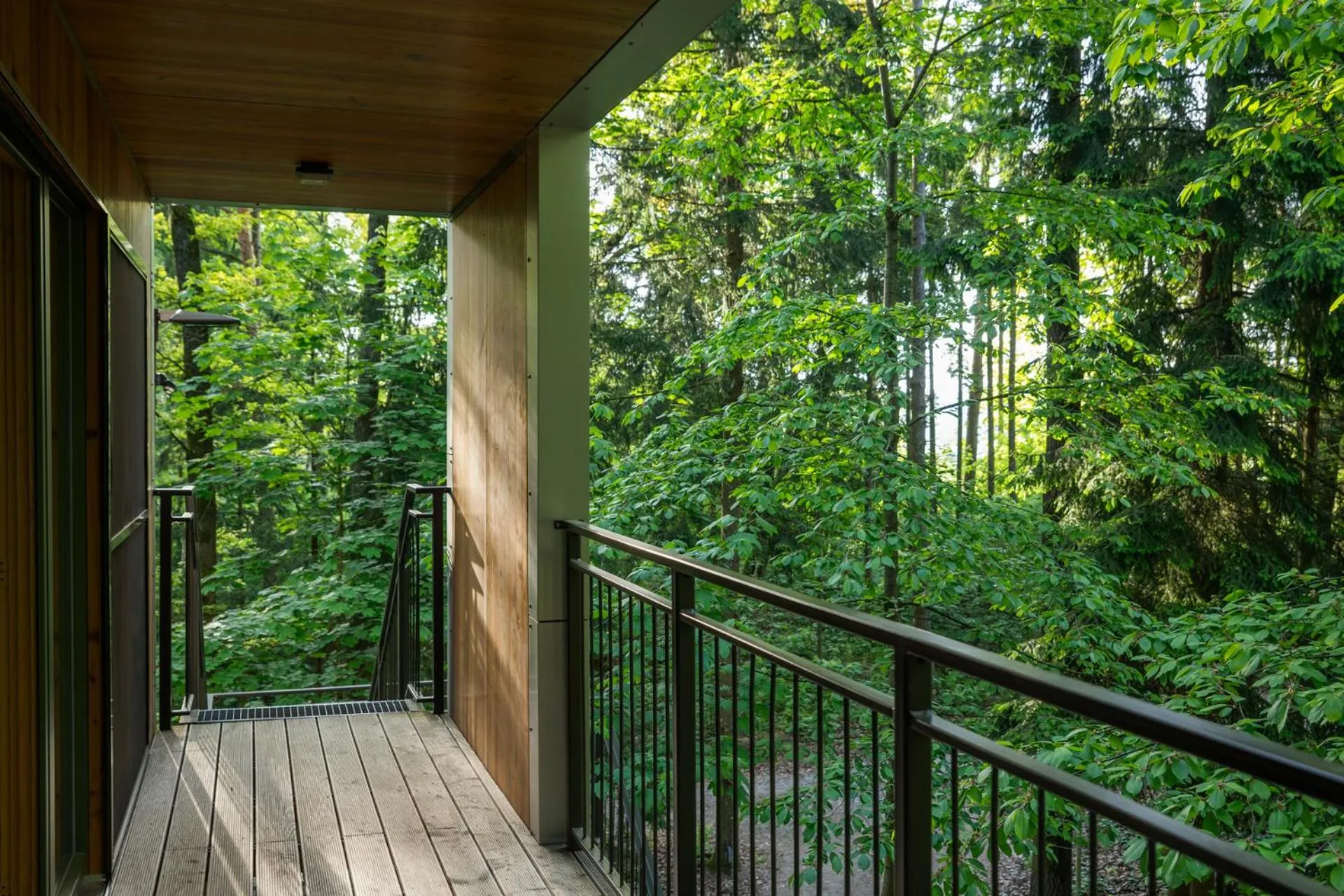 Natural landscape in edelførst Baumhäuser