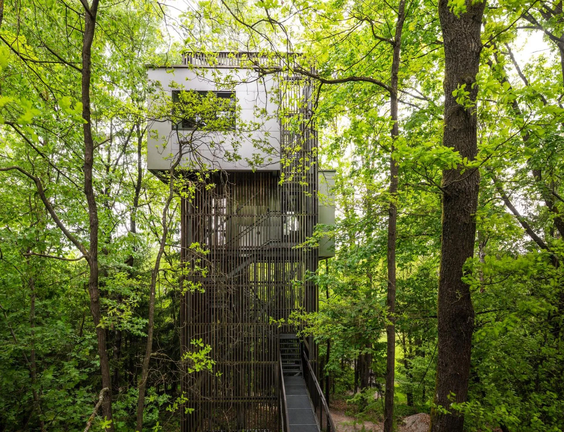 Natural landscape in edelførst Baumhäuser
