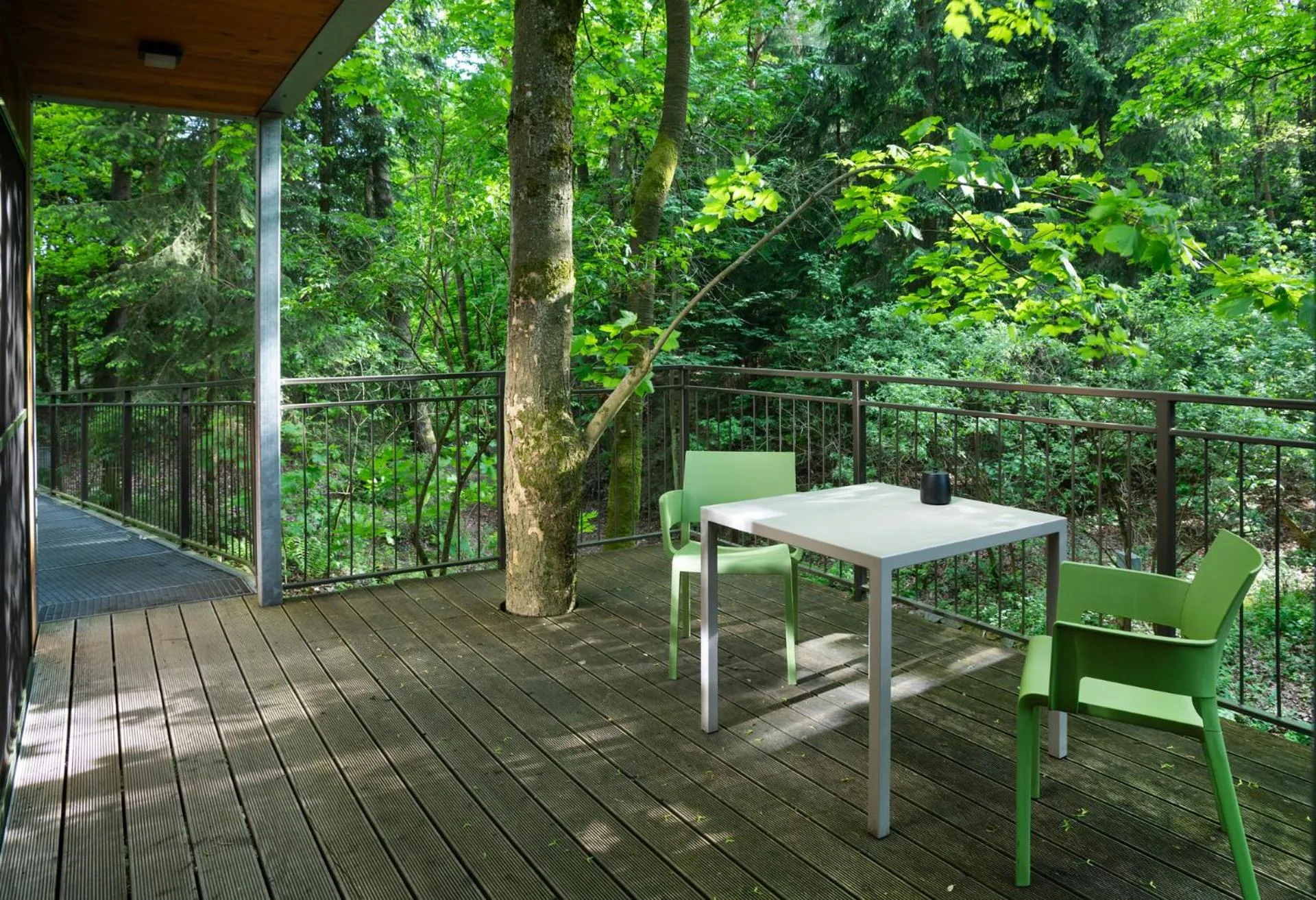 Natural landscape in edelførst Baumhäuser