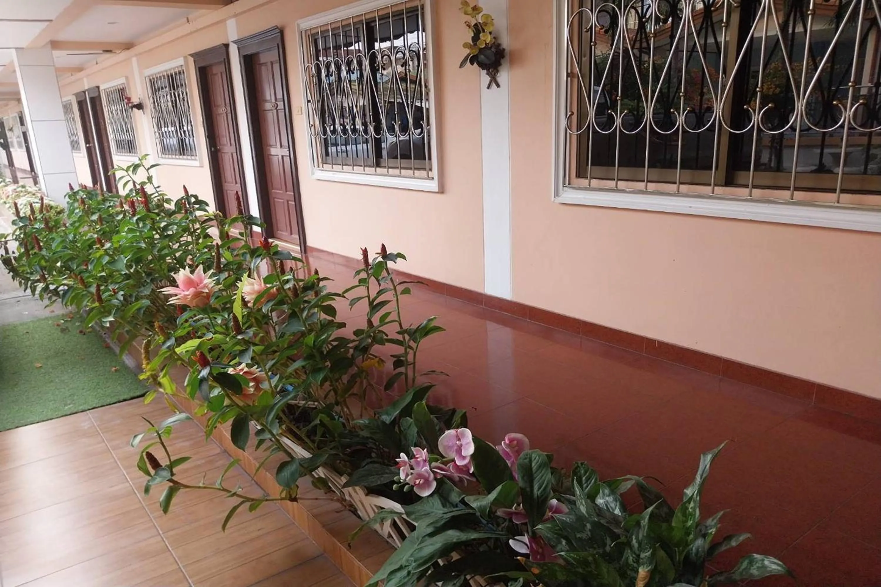 Garden view in PF Resort