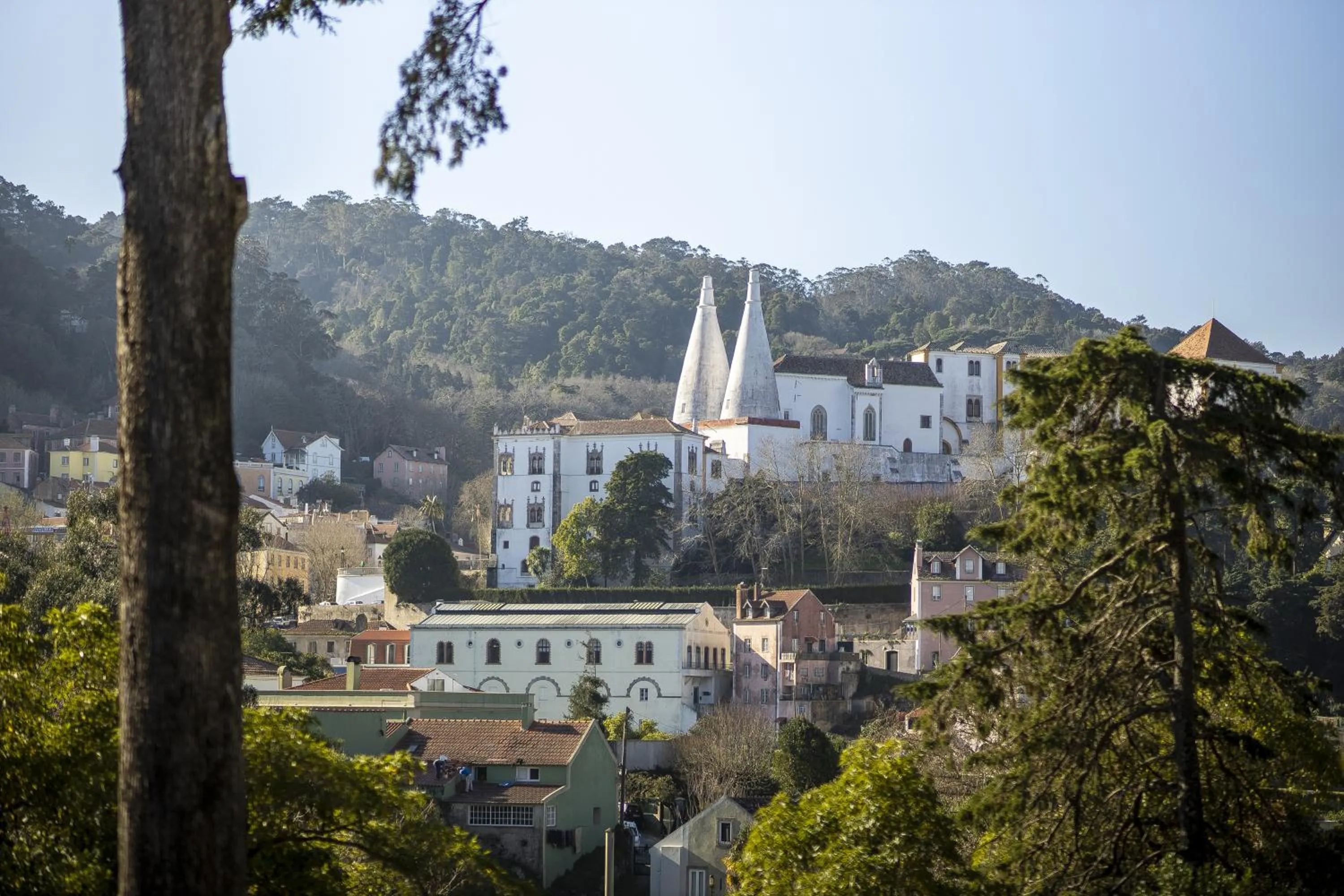 Natural landscape in Sintra Marmoris Palace