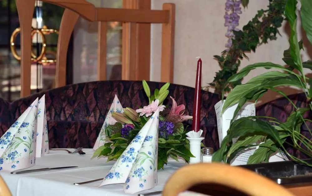 Hotel und Restaurant Sackwitzer Mühle