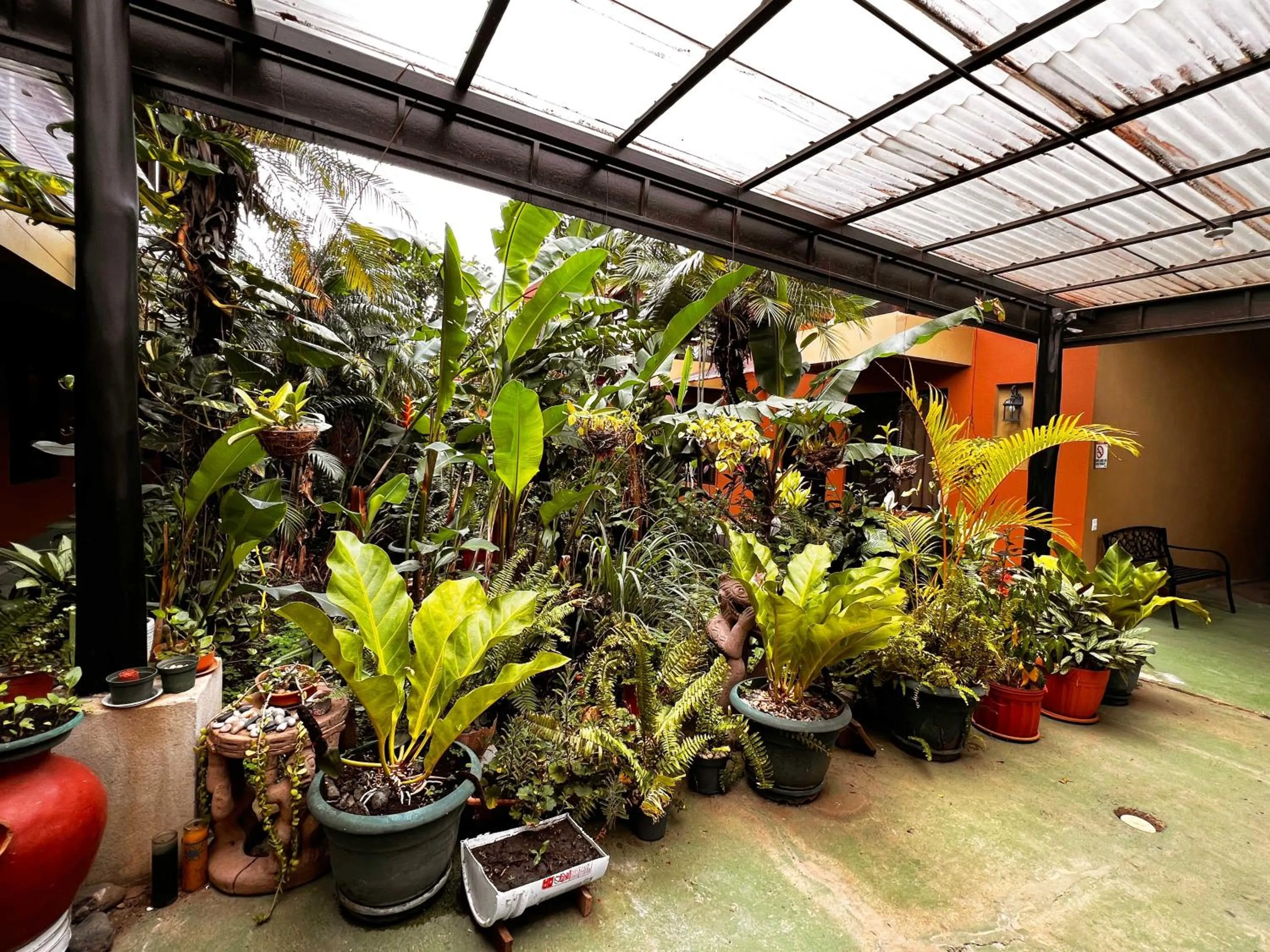 Garden in Belen Suites