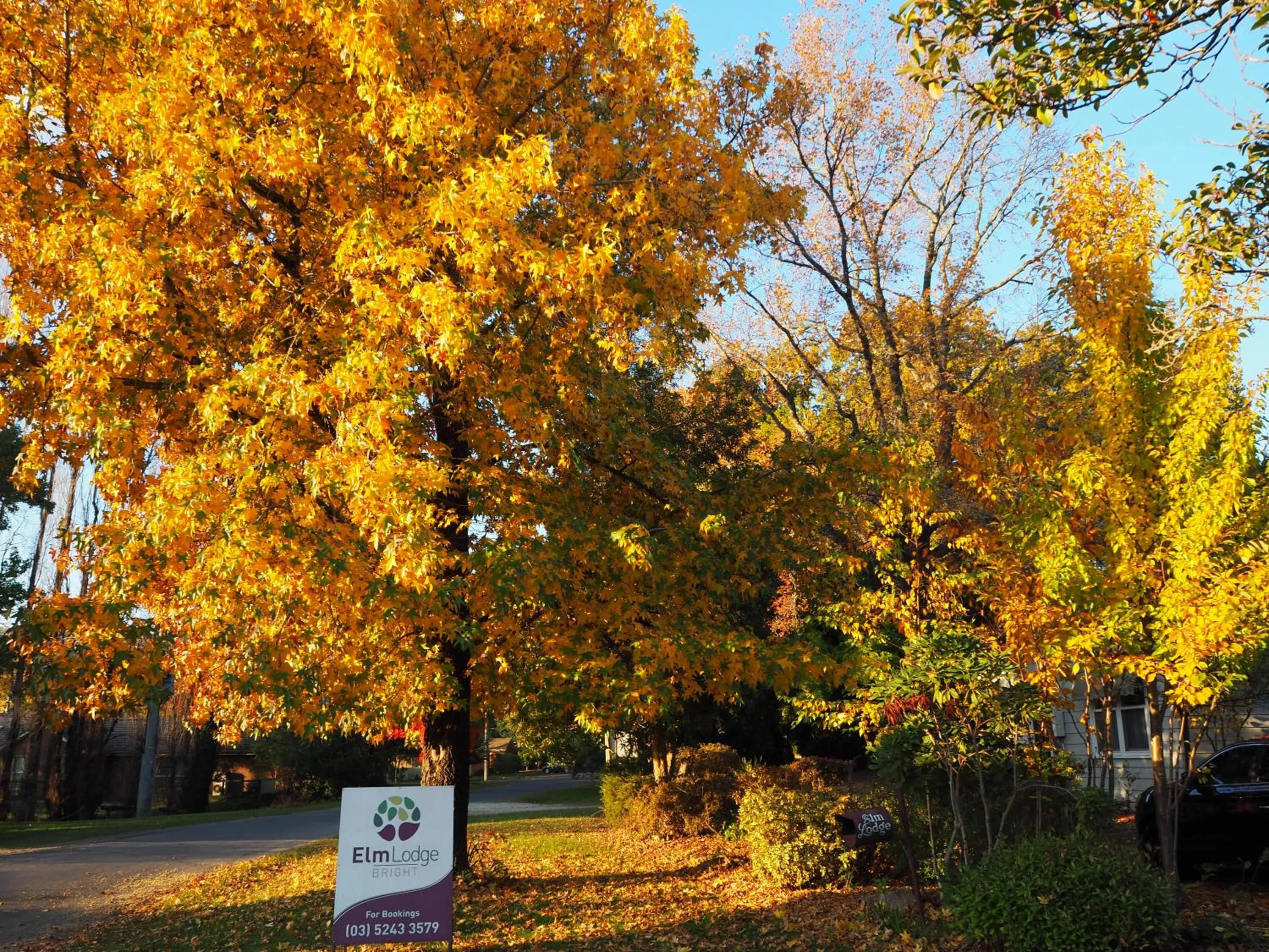 Property logo or sign in Elm Lodge Bright