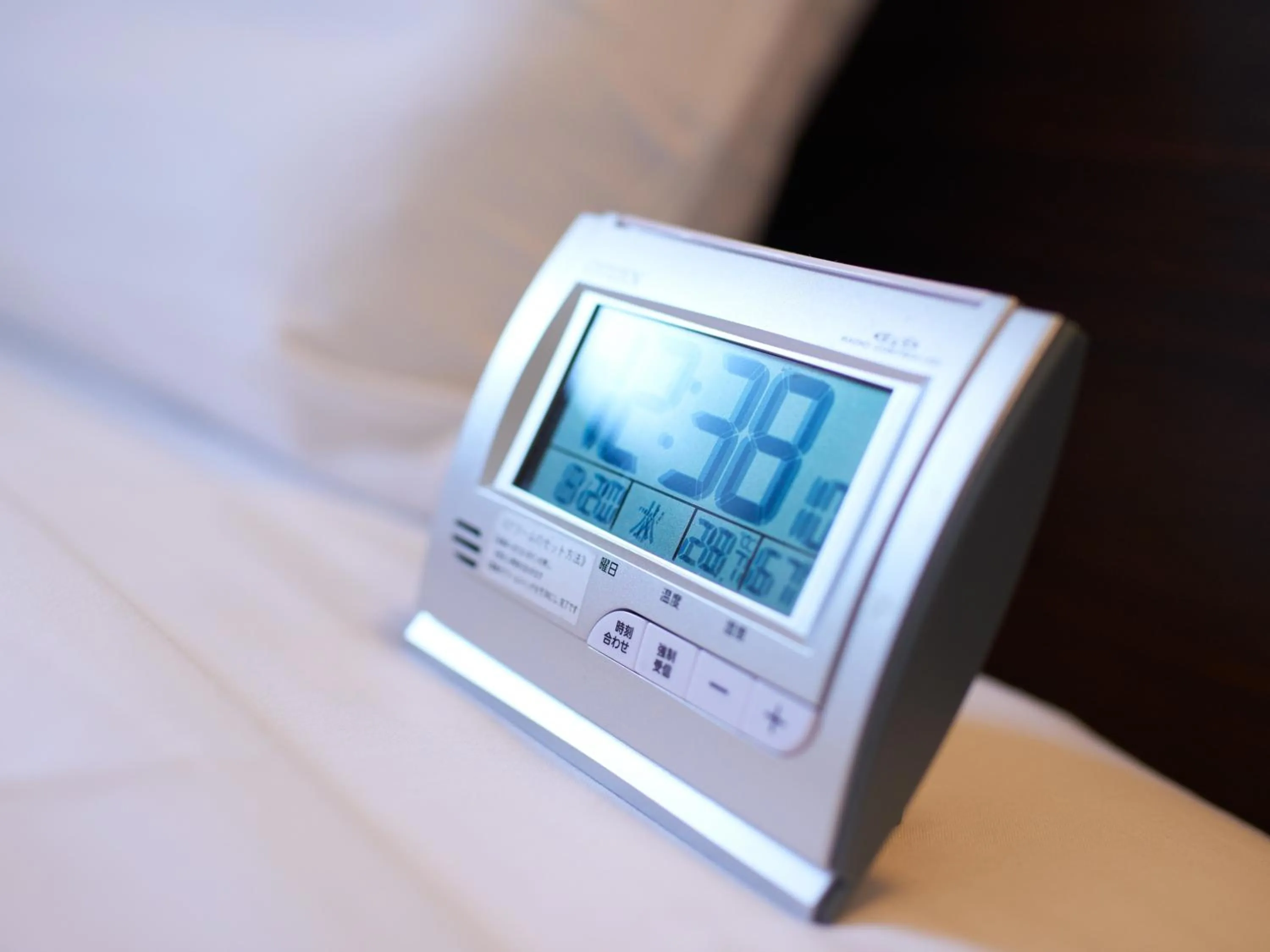 Decorative detail in Super Hotel Shinyokohama