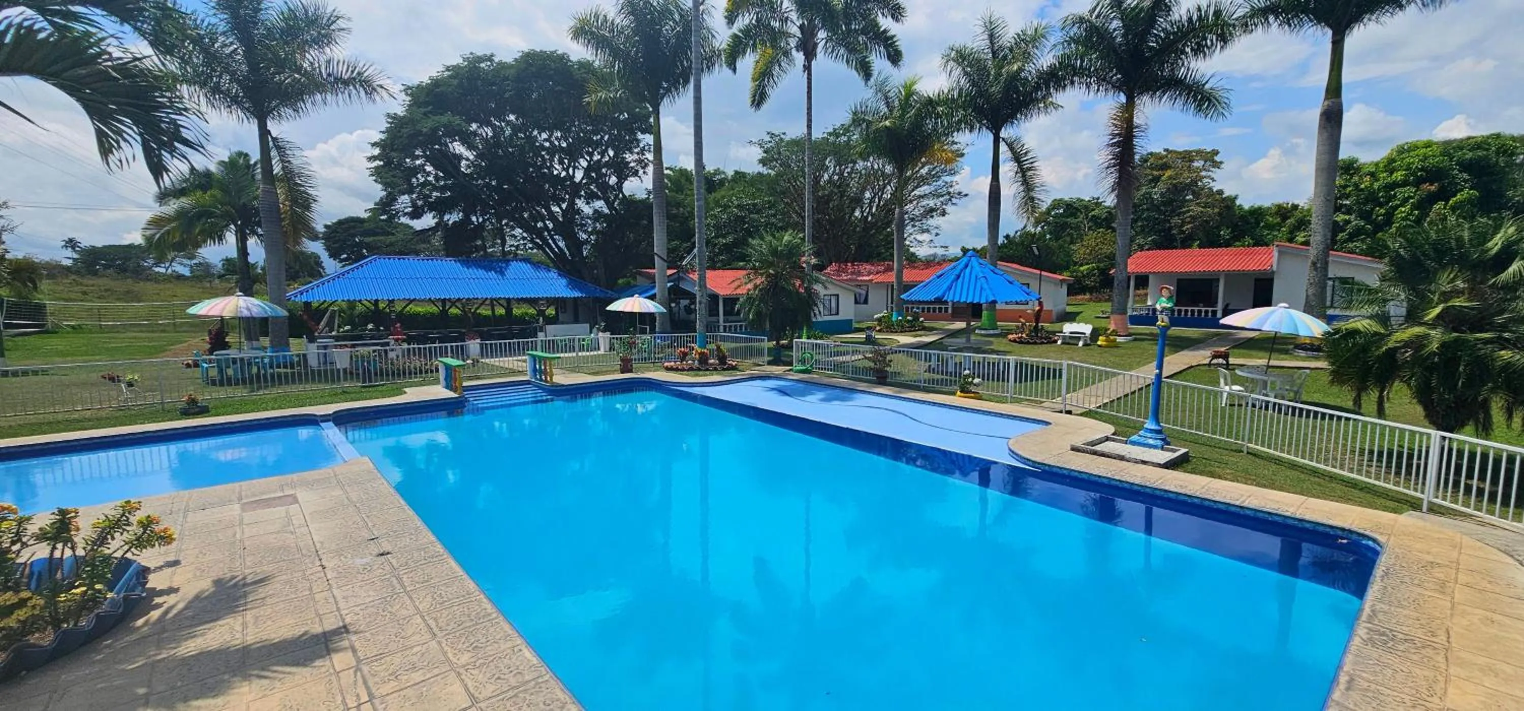 Garden view in Cabañas Cafeteras Cerritos