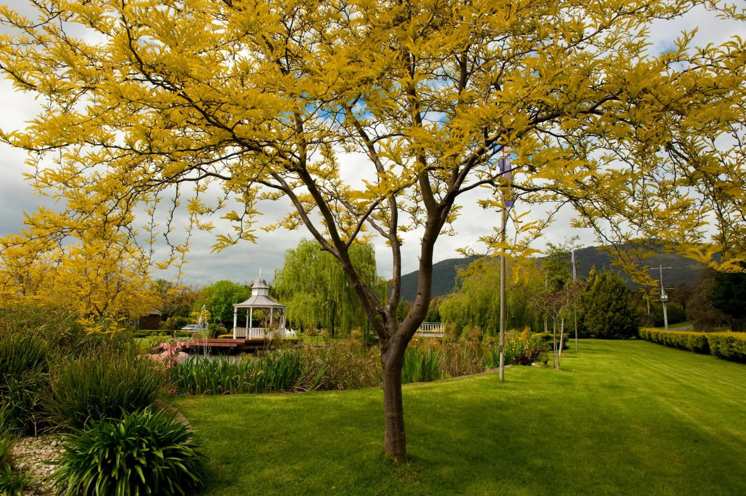 Facade/entrance in Lakeside Cottage Luxury B&B