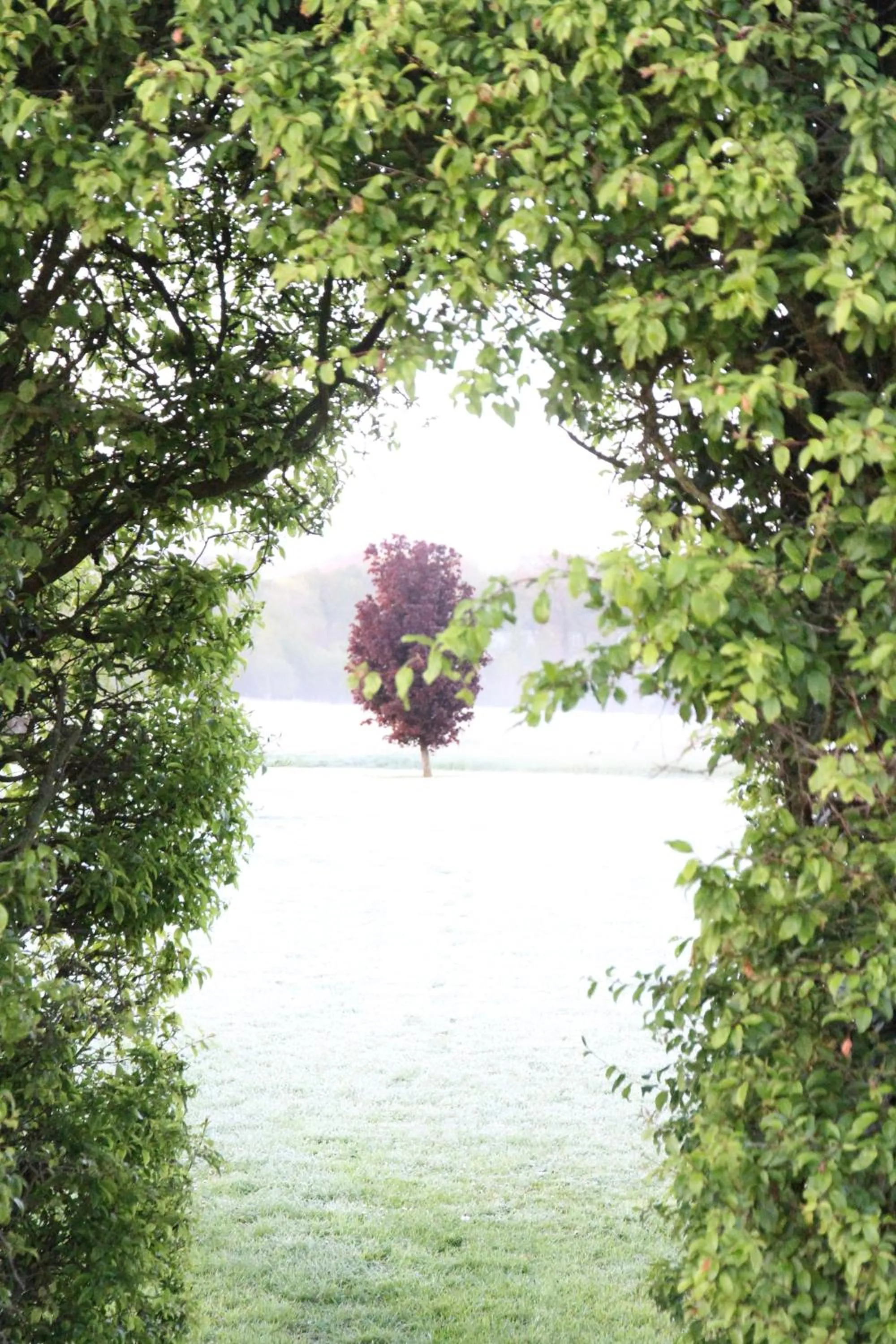 View (from property/room) in The Lighthouse