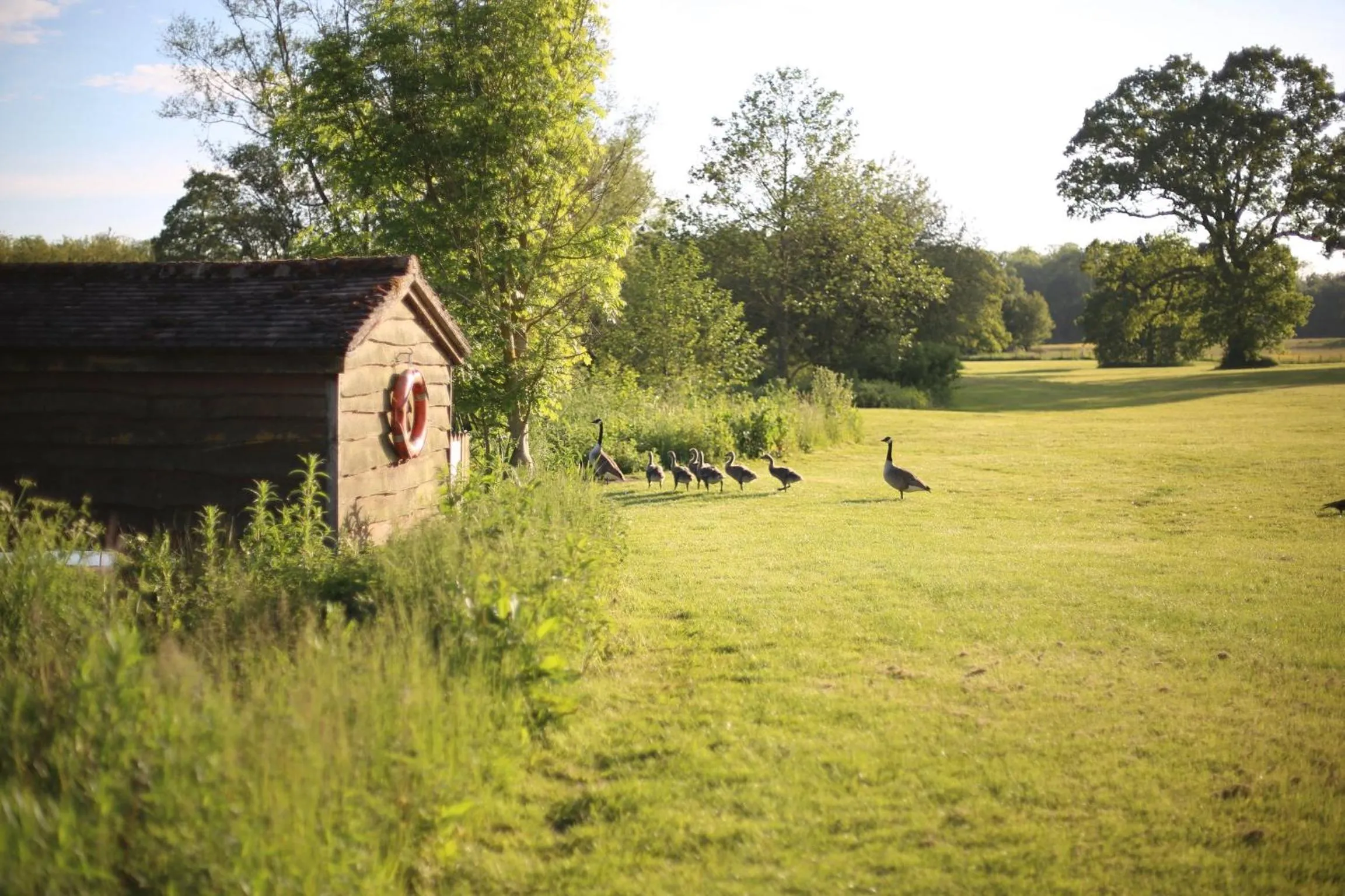 Garden in The Lighthouse