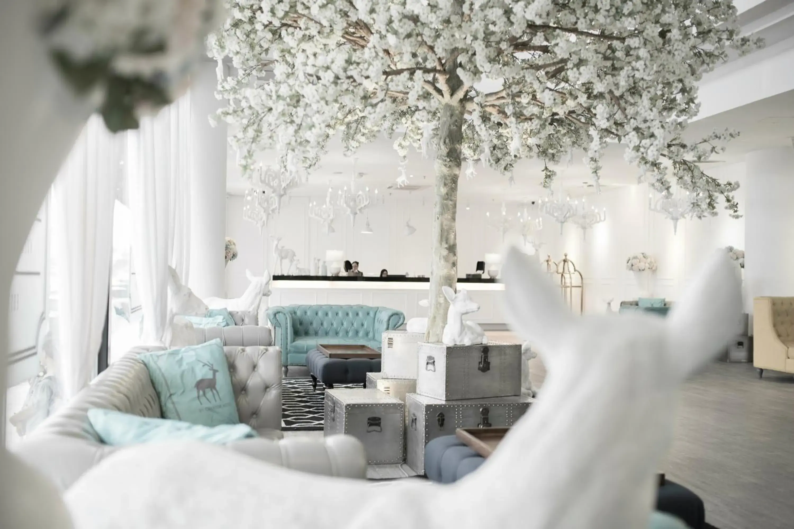 Creator Hotel Creator Hotel