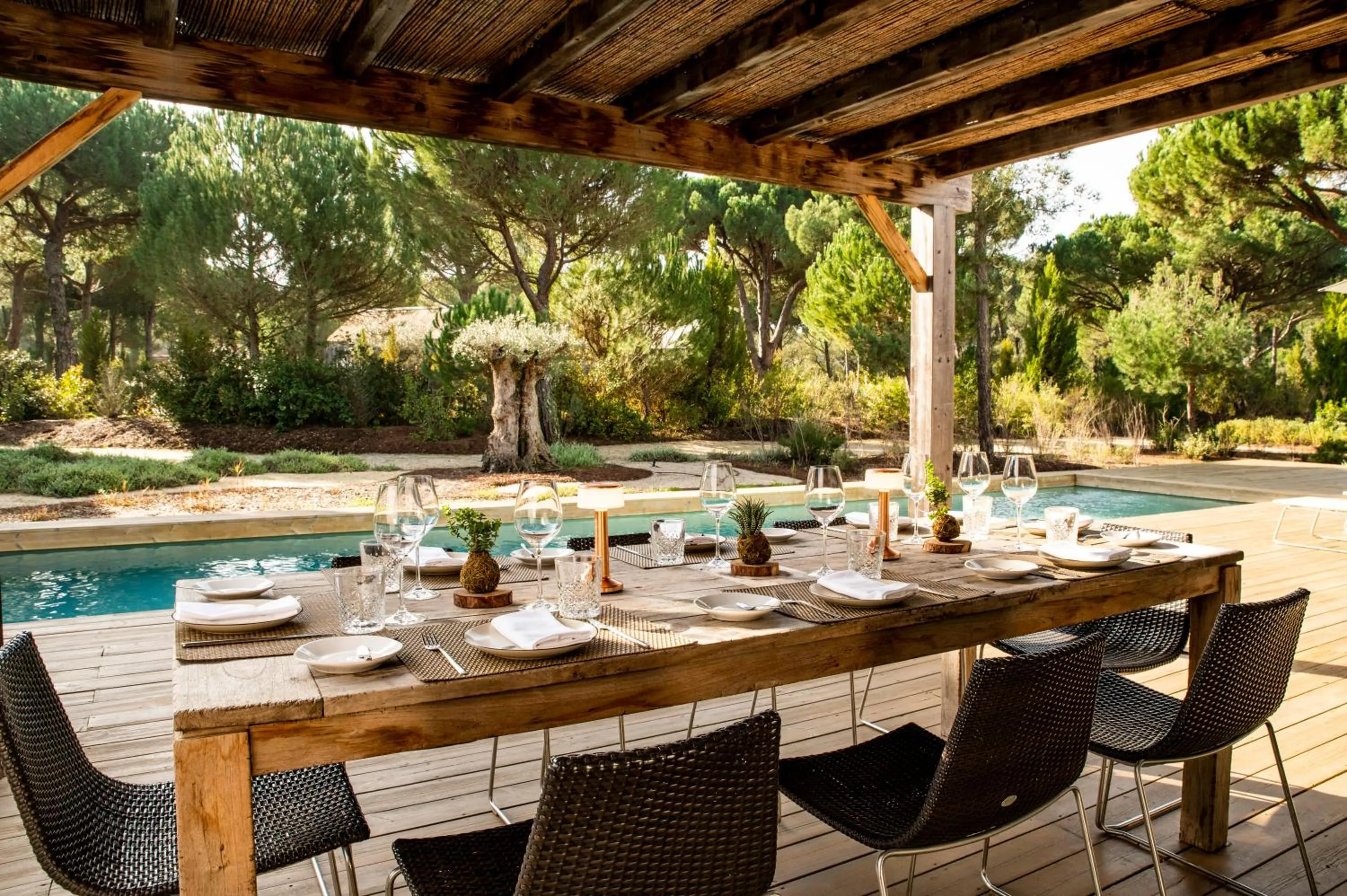 Garden in Sublime Comporta Country Retreat & SPA