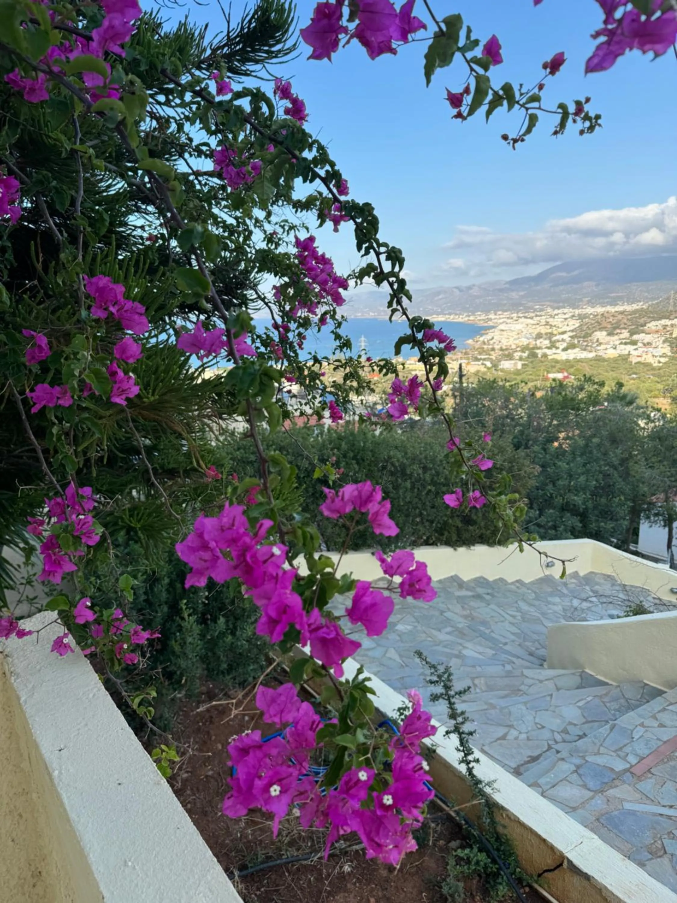 Day in Blue Horizon Apartments