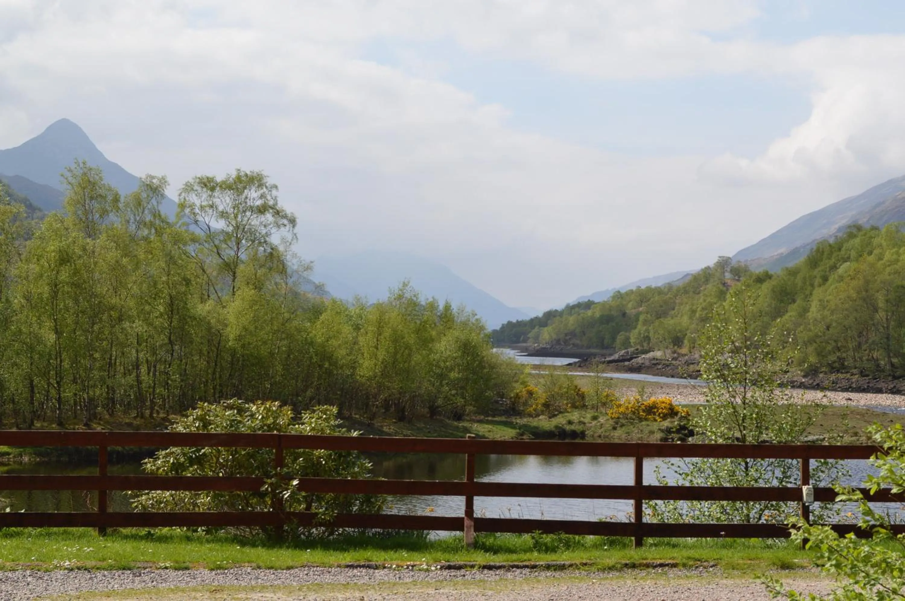 View (from property/room) in MacDonald Hotel & Cabins
