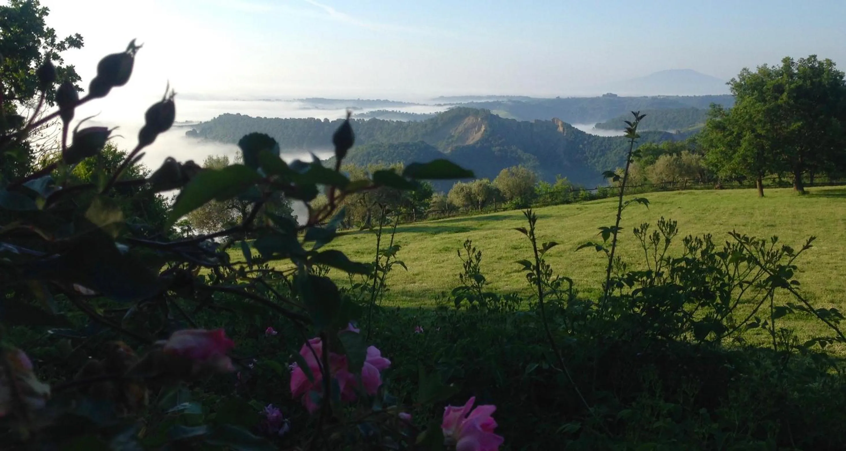 Garden view in Bed And Breakfast Dopo Il Settimo Cielo