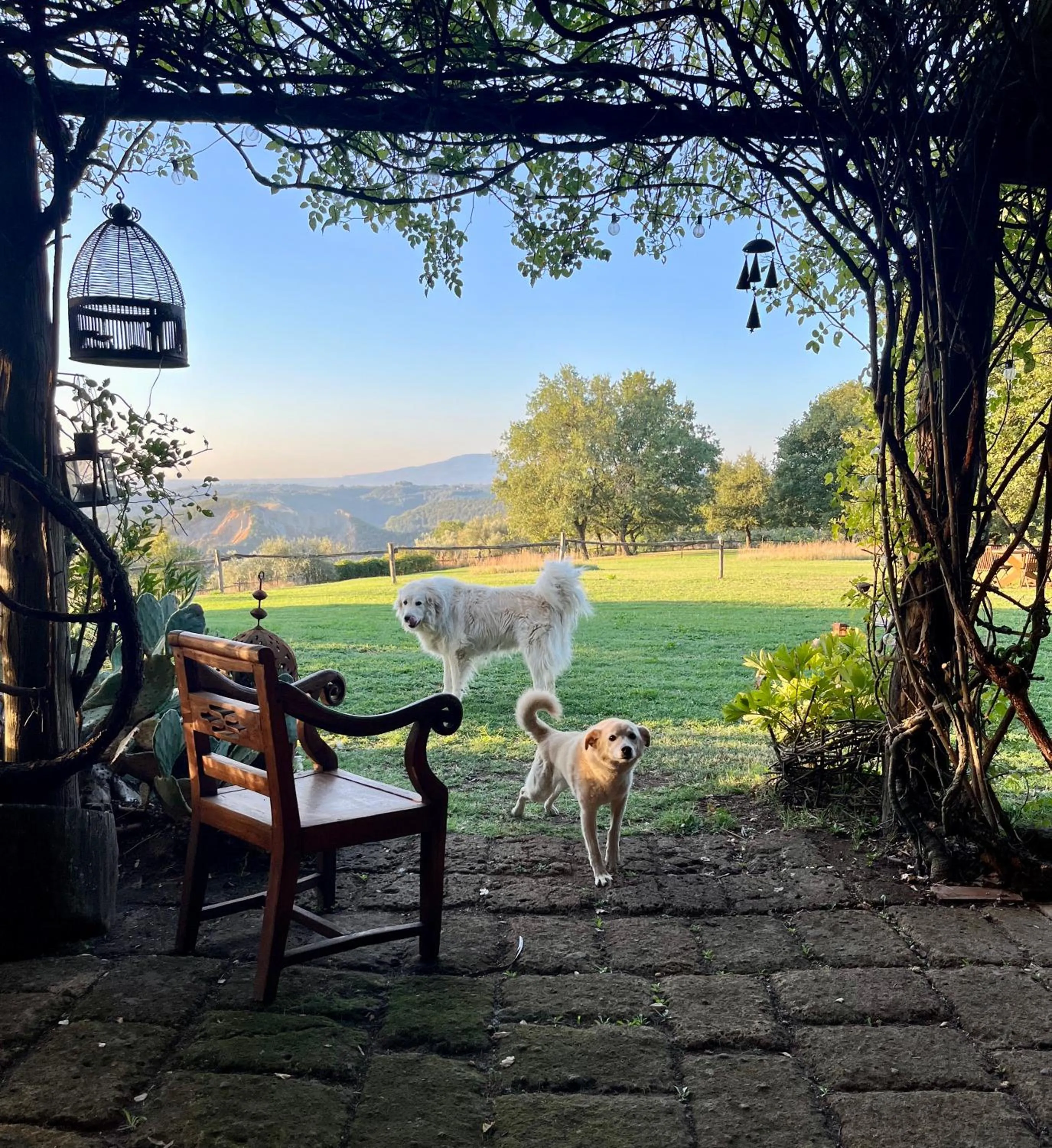 Pets in Bed And Breakfast Dopo Il Settimo Cielo