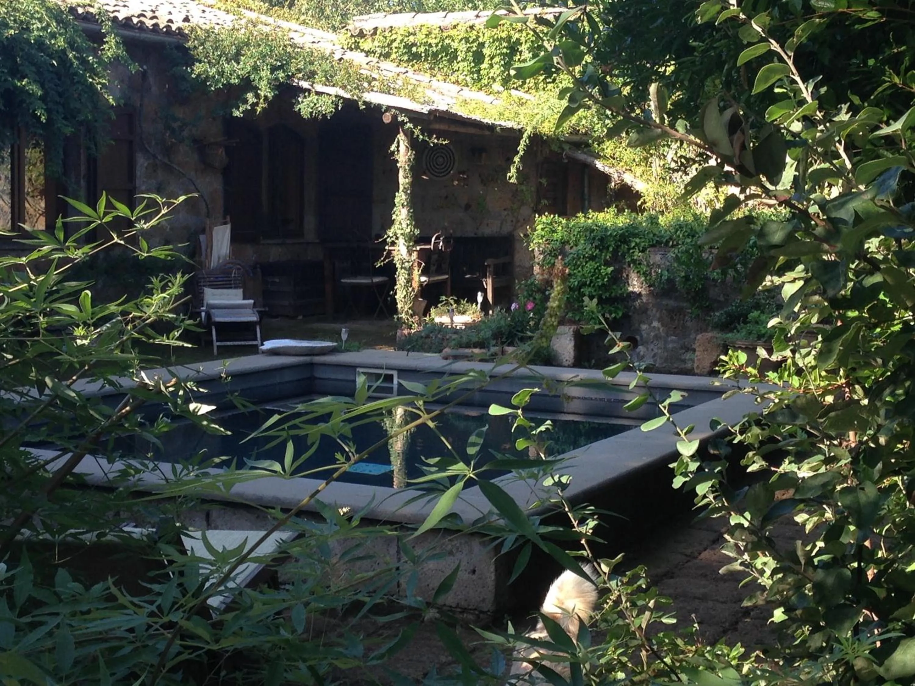 Swimming pool in Bed And Breakfast Dopo Il Settimo Cielo