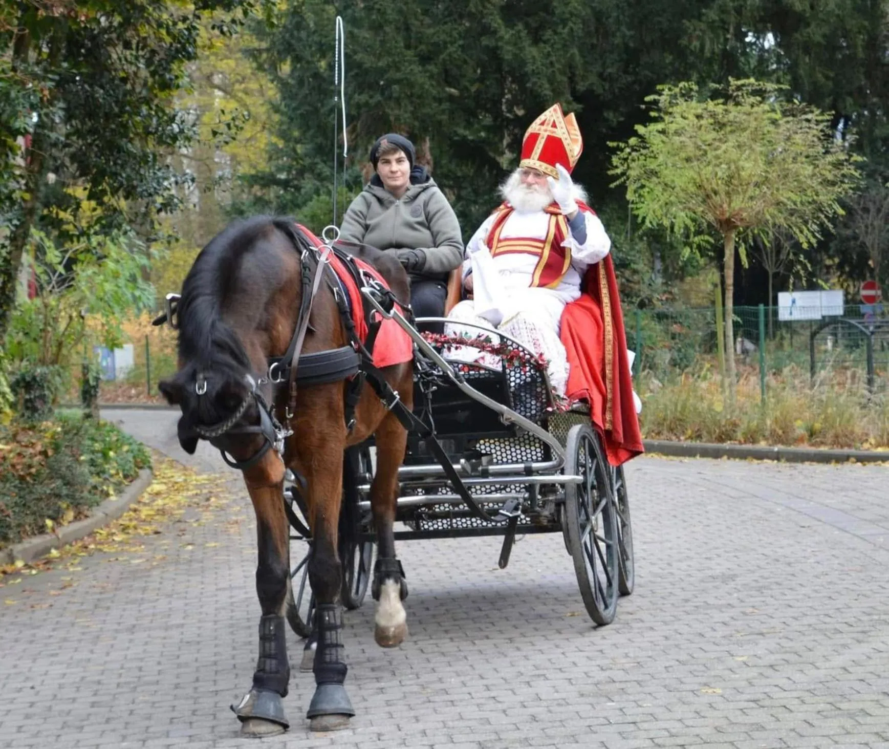 Activities in Haras des Chartreux