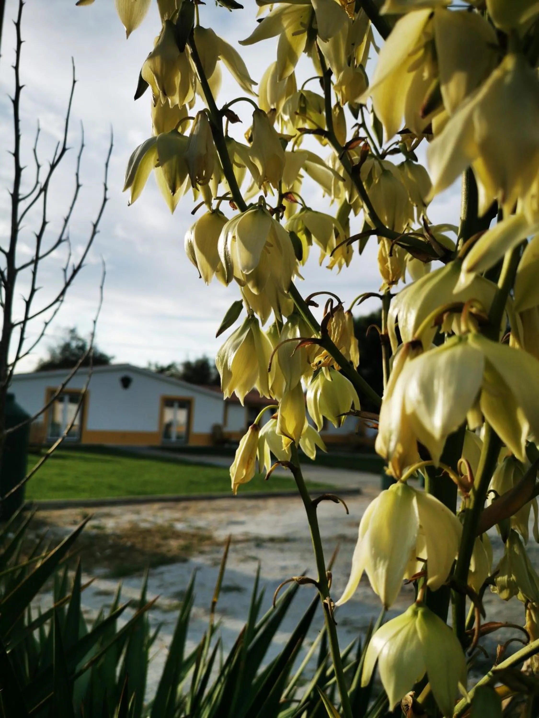 Garden in Quinta do Louredo - Évora