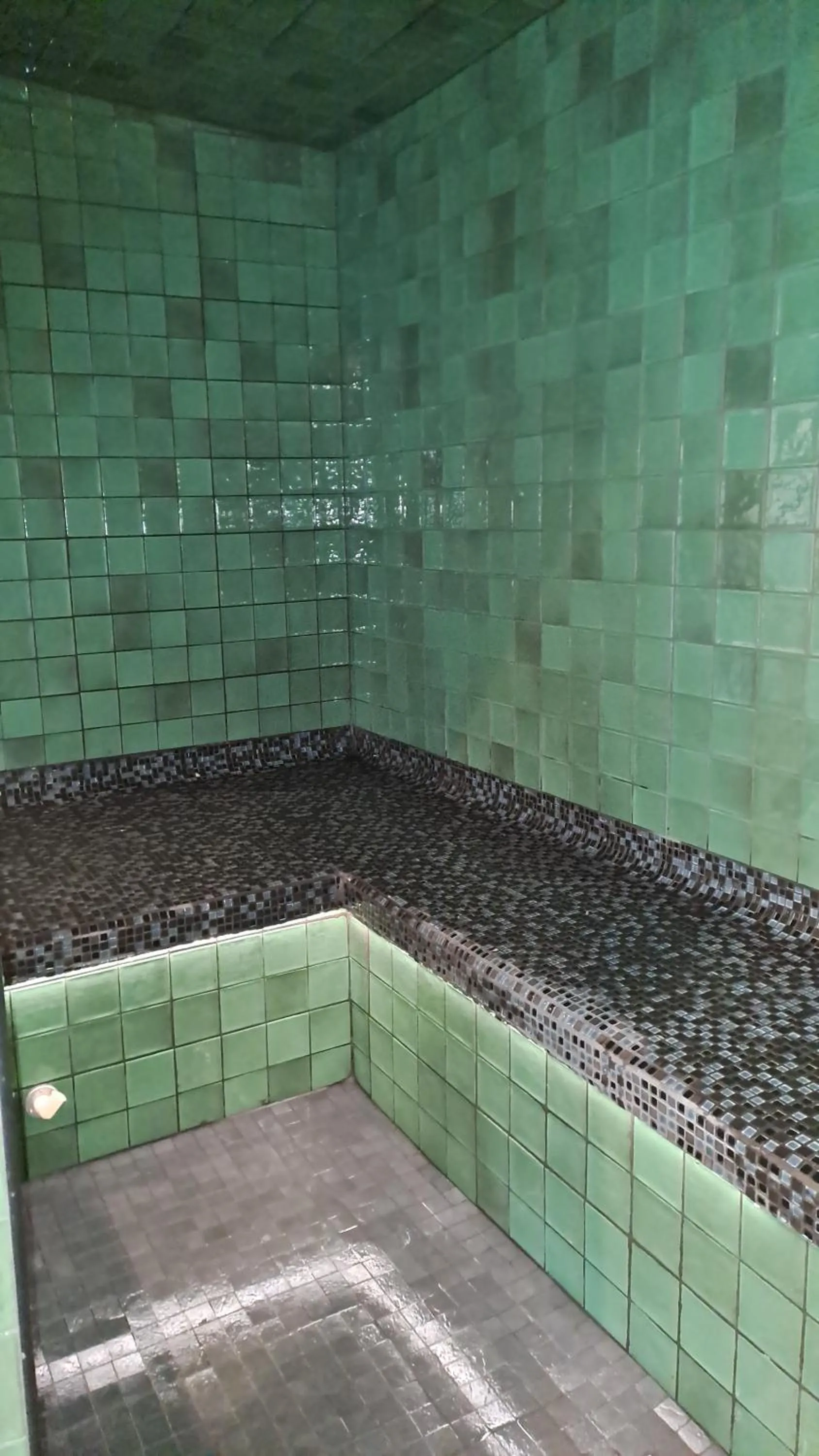 Steam room in Suite & SPA à La Ferme 1802