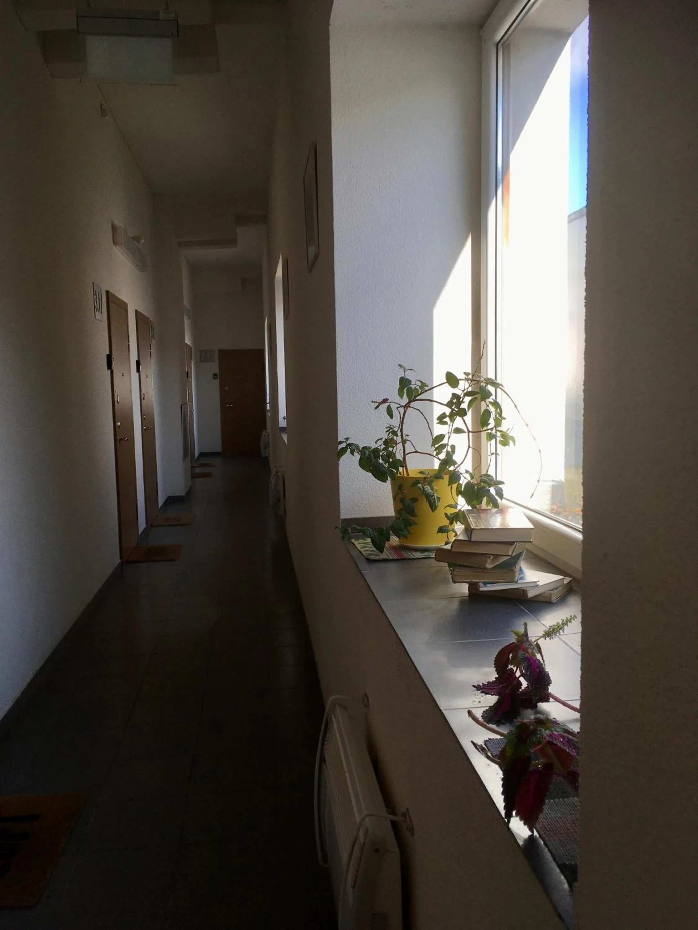 Decorative detail in Natalex MicroLofts