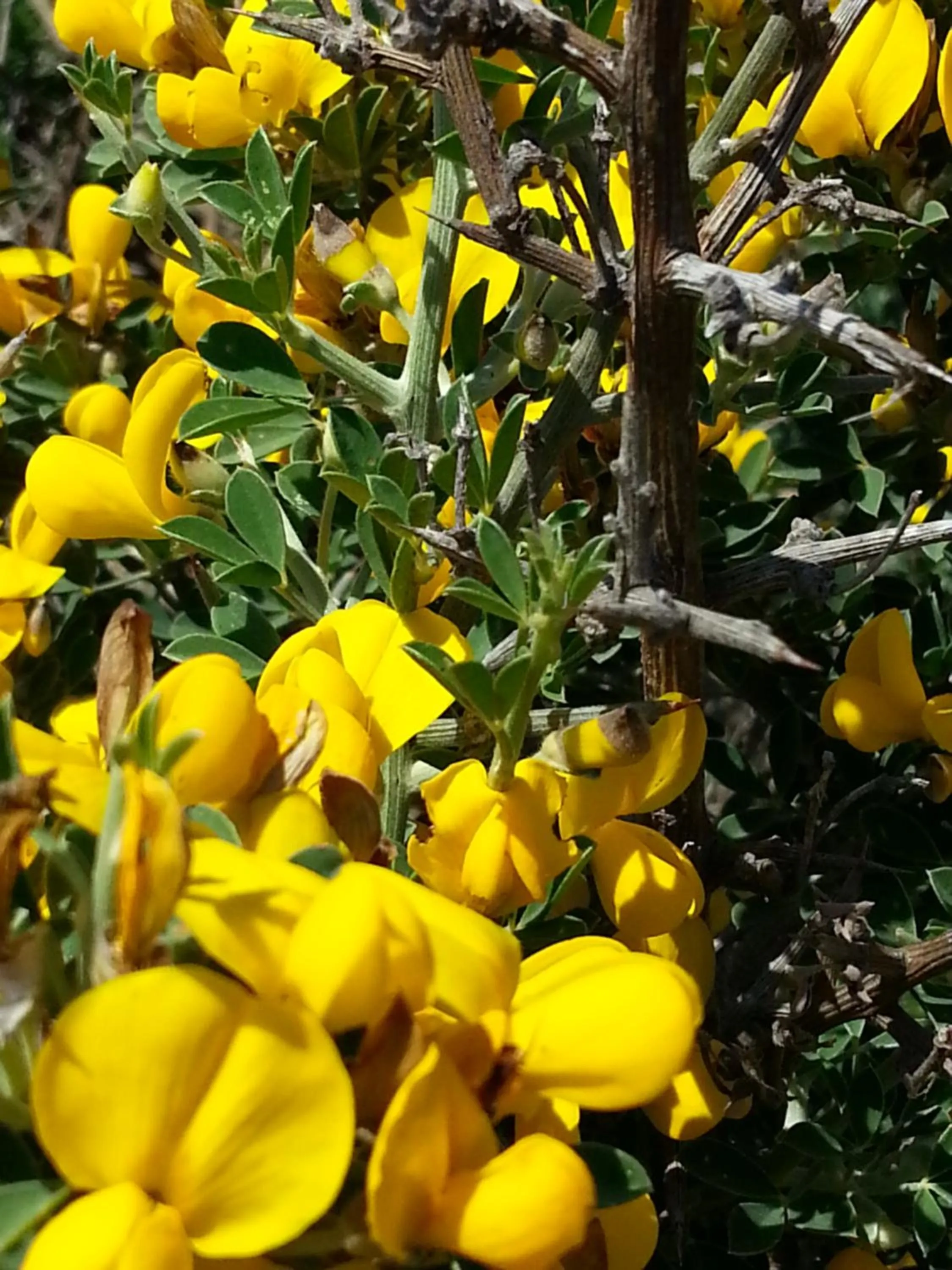 Garden view in Hôtel Beach