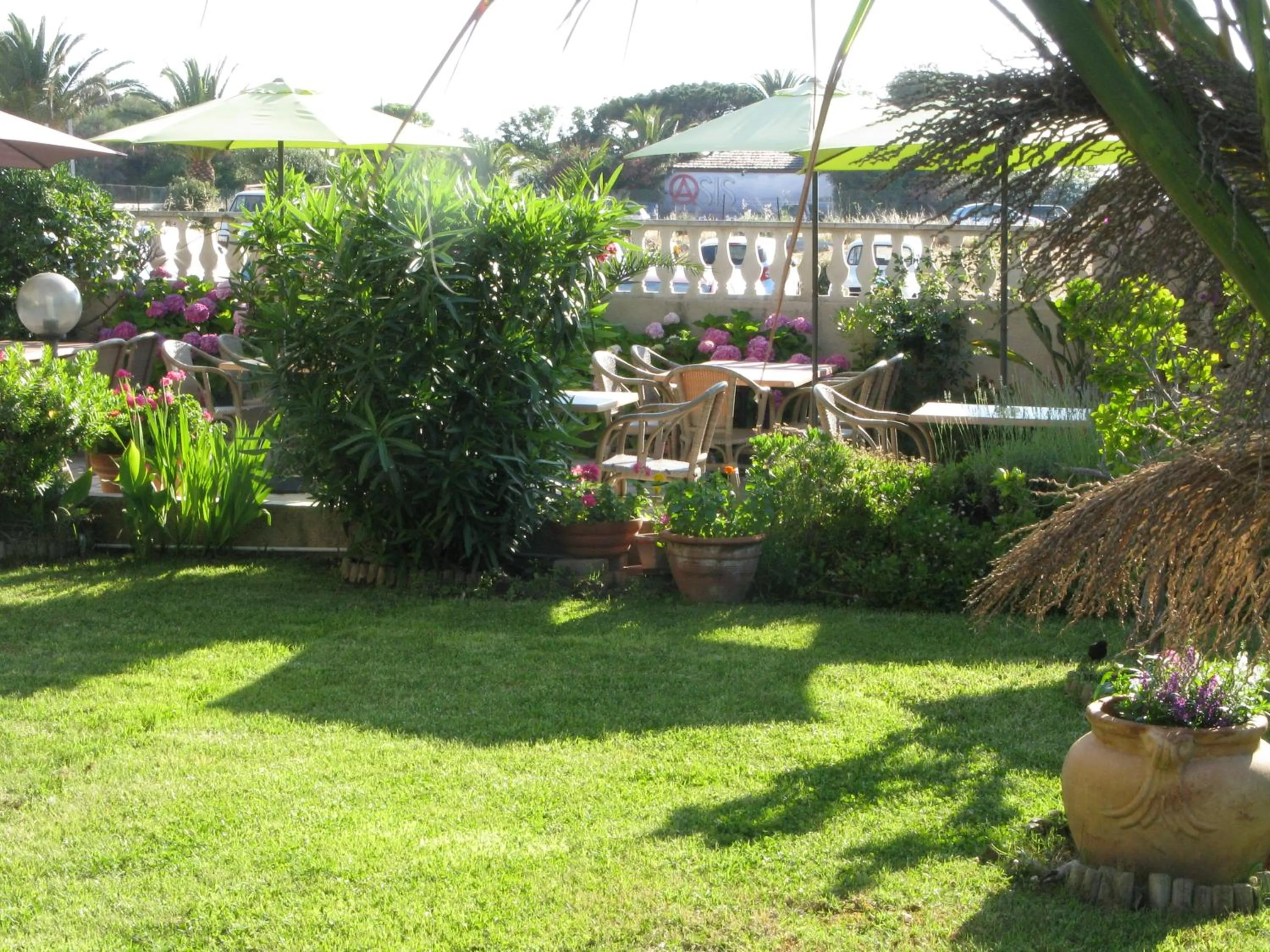 Garden in Hôtel Beach