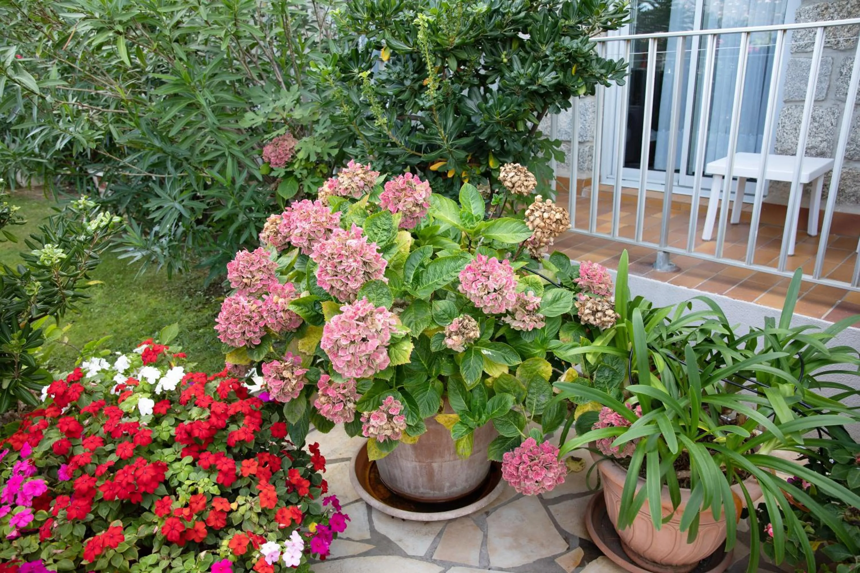 Garden in Hôtel Beach
