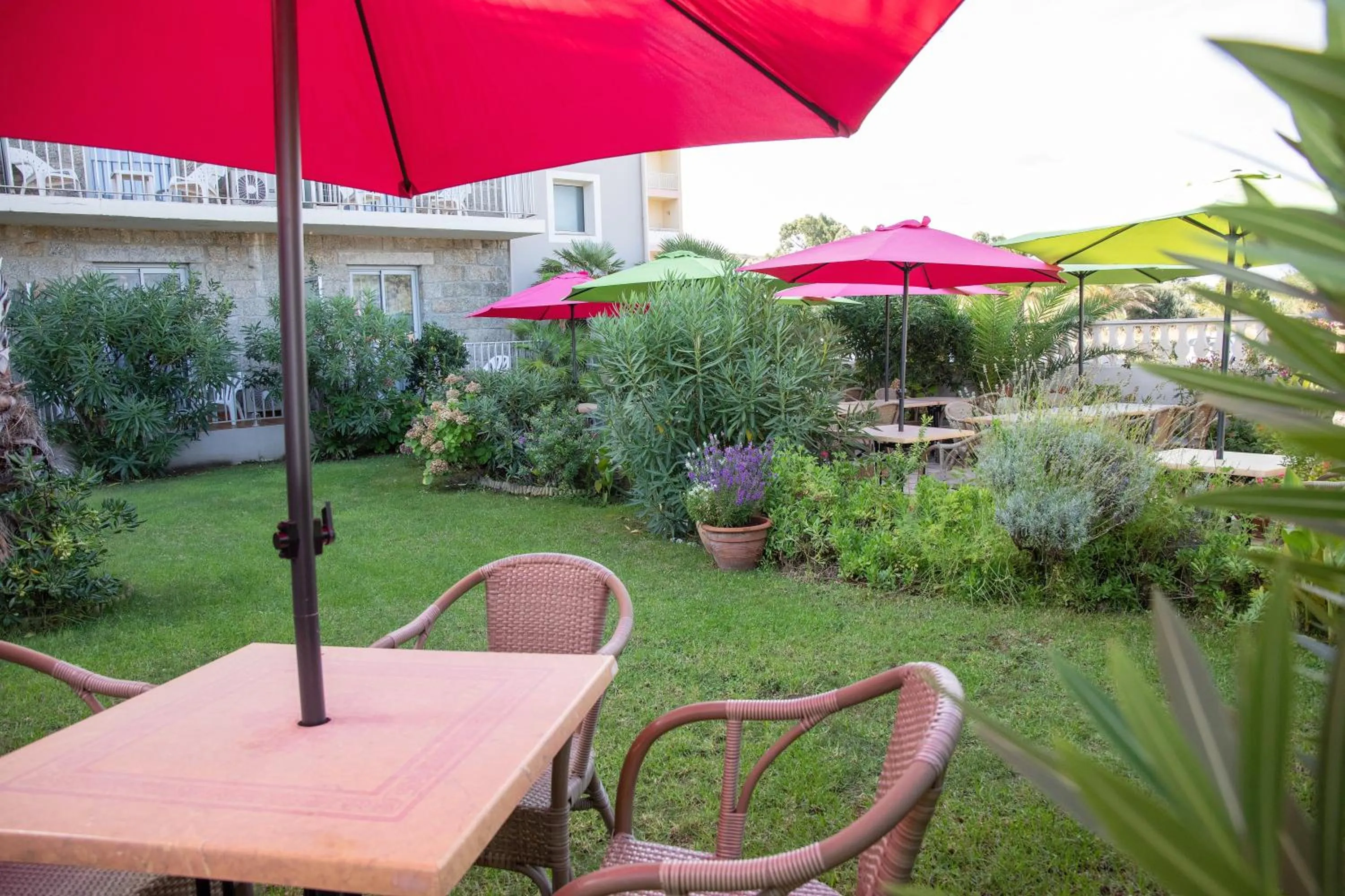 Garden in Hôtel Beach