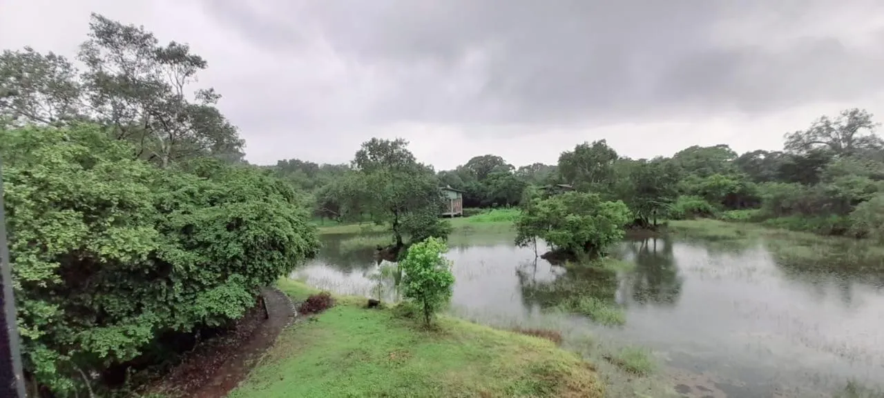 Natural landscape in Sigiri Vananthara