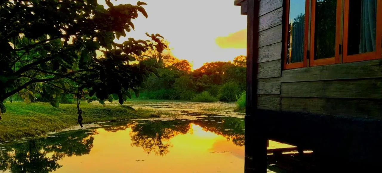 Sunrise in Sigiri Vananthara