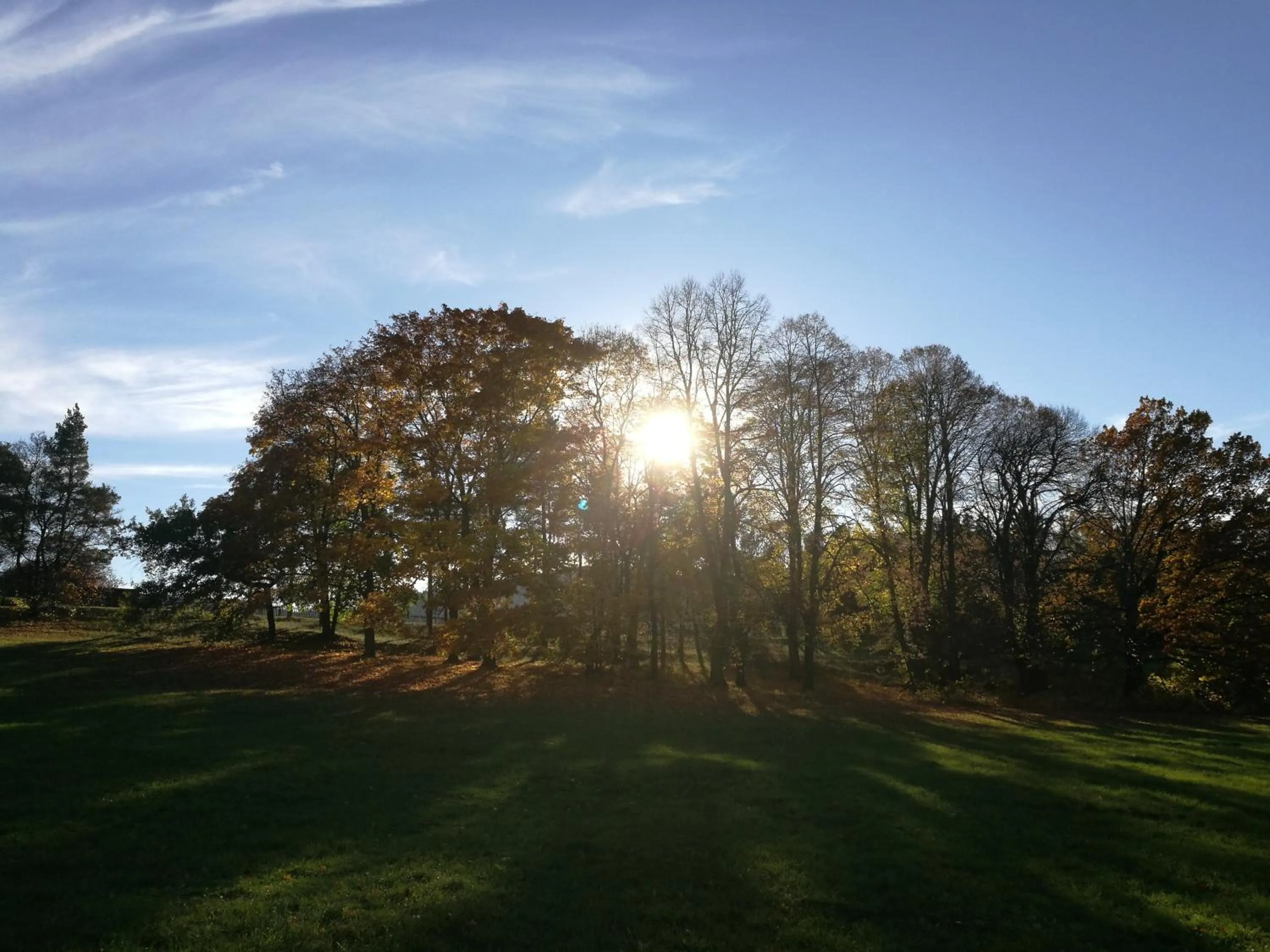 Nearby landmark in Hotel & Restaurant Bergfried