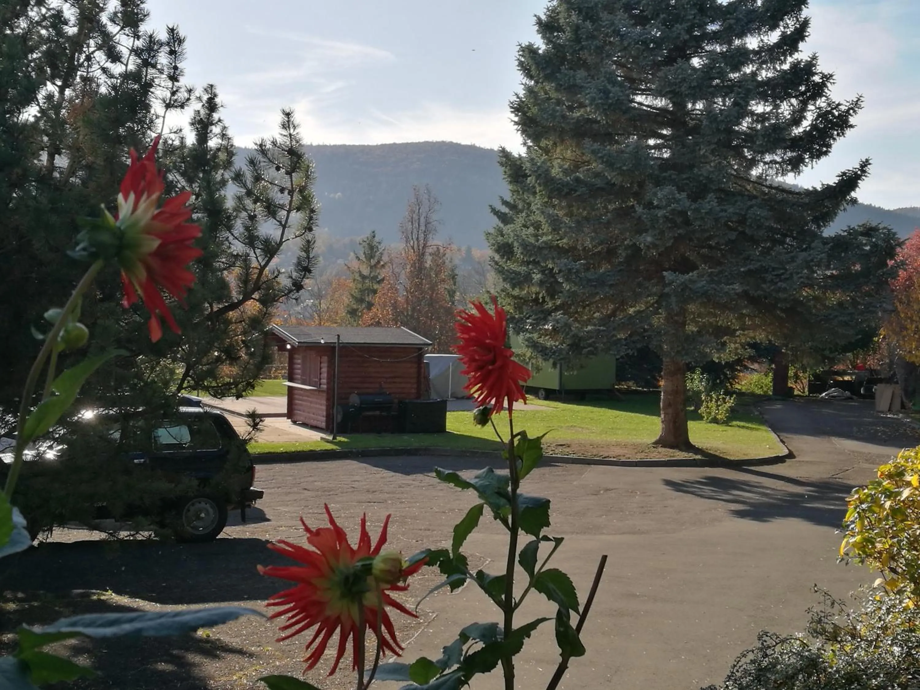 BBQ facilities in Hotel & Restaurant Bergfried