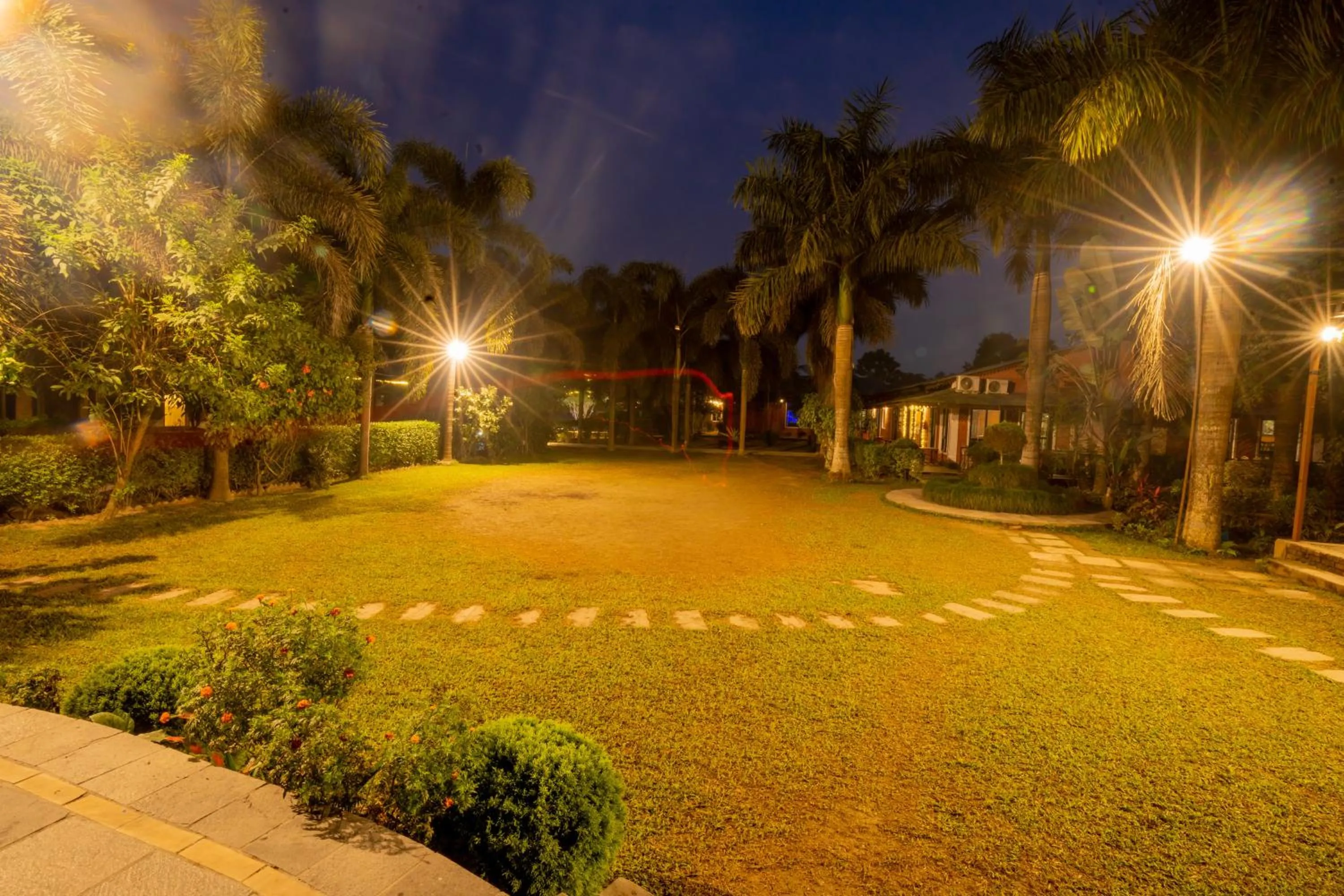 Night in Hotel Jungle Crown