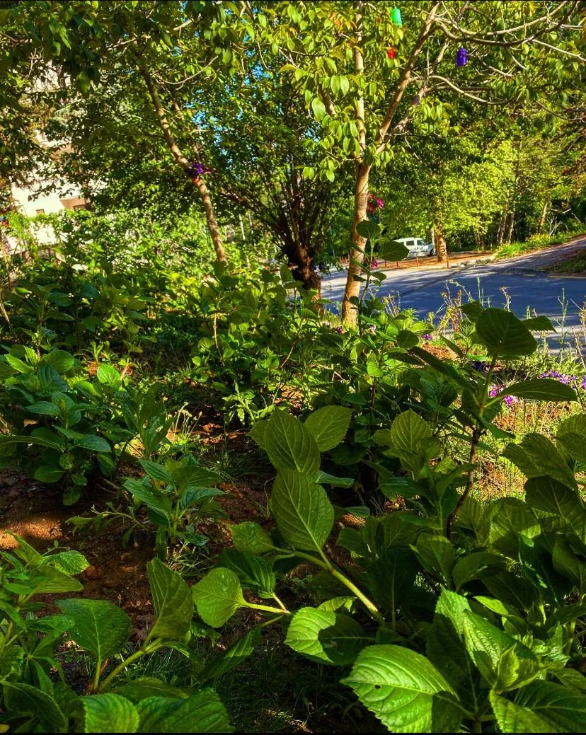 Kapri Termal Hotel & Kaplica Yalova