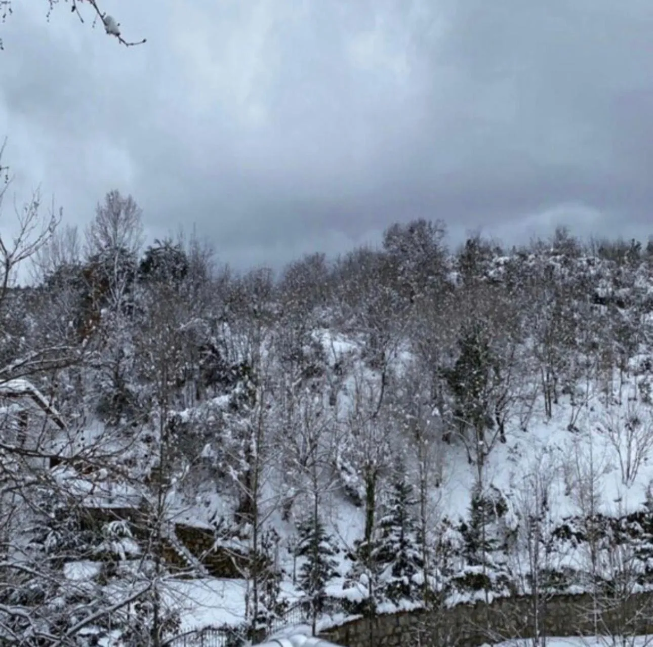 Kapri Termal Hotel & Kaplica Yalova