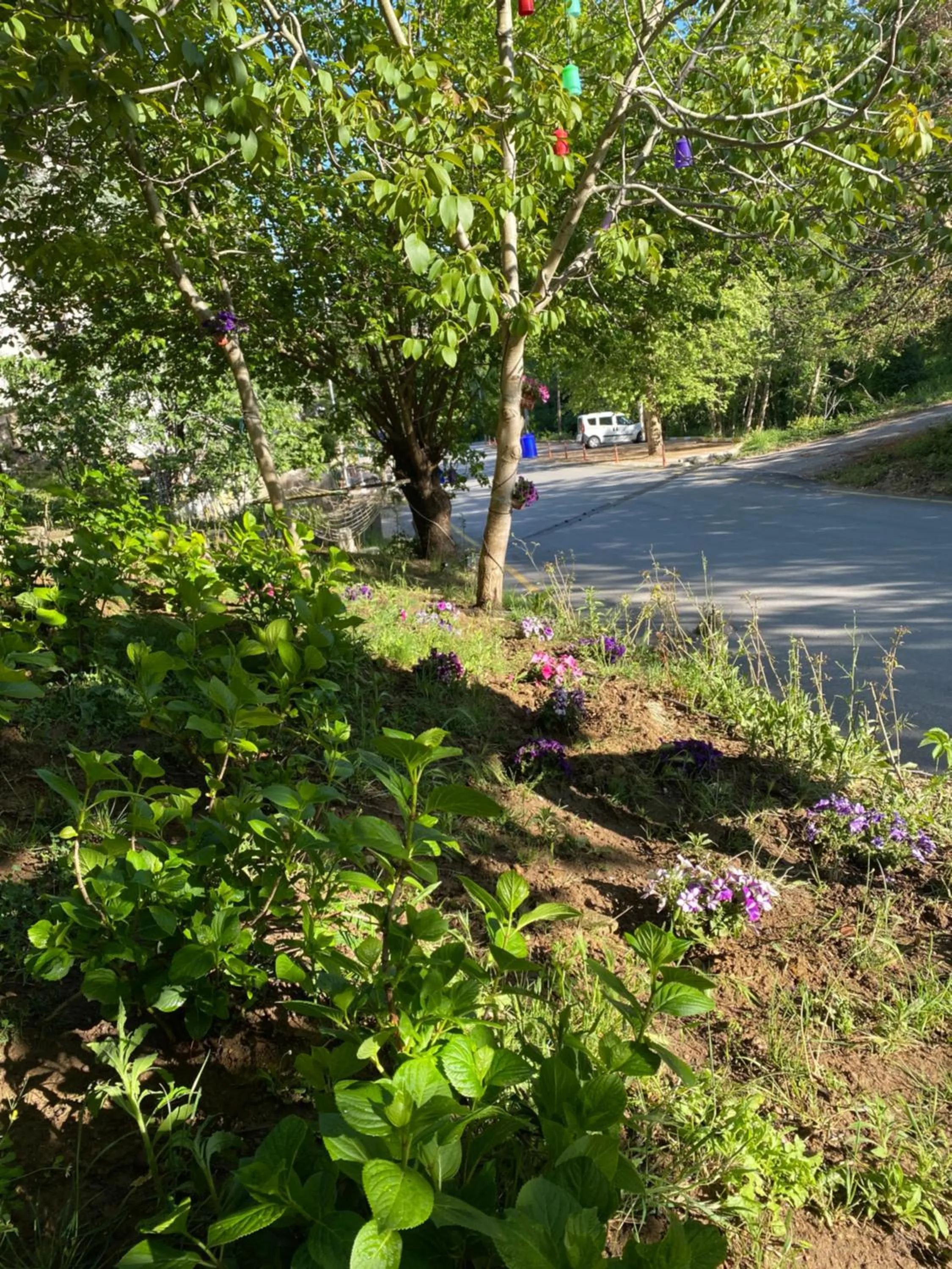 Kapri Termal Hotel & Kaplica Yalova