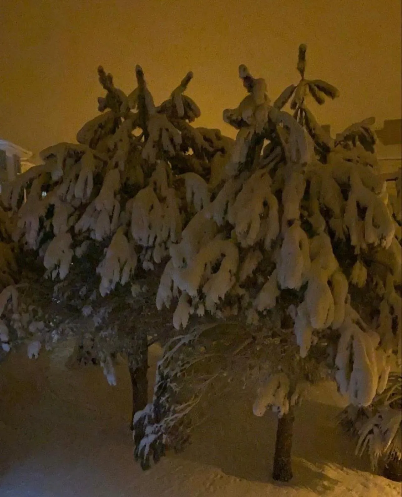 Kapri Termal Hotel & Kaplica Yalova